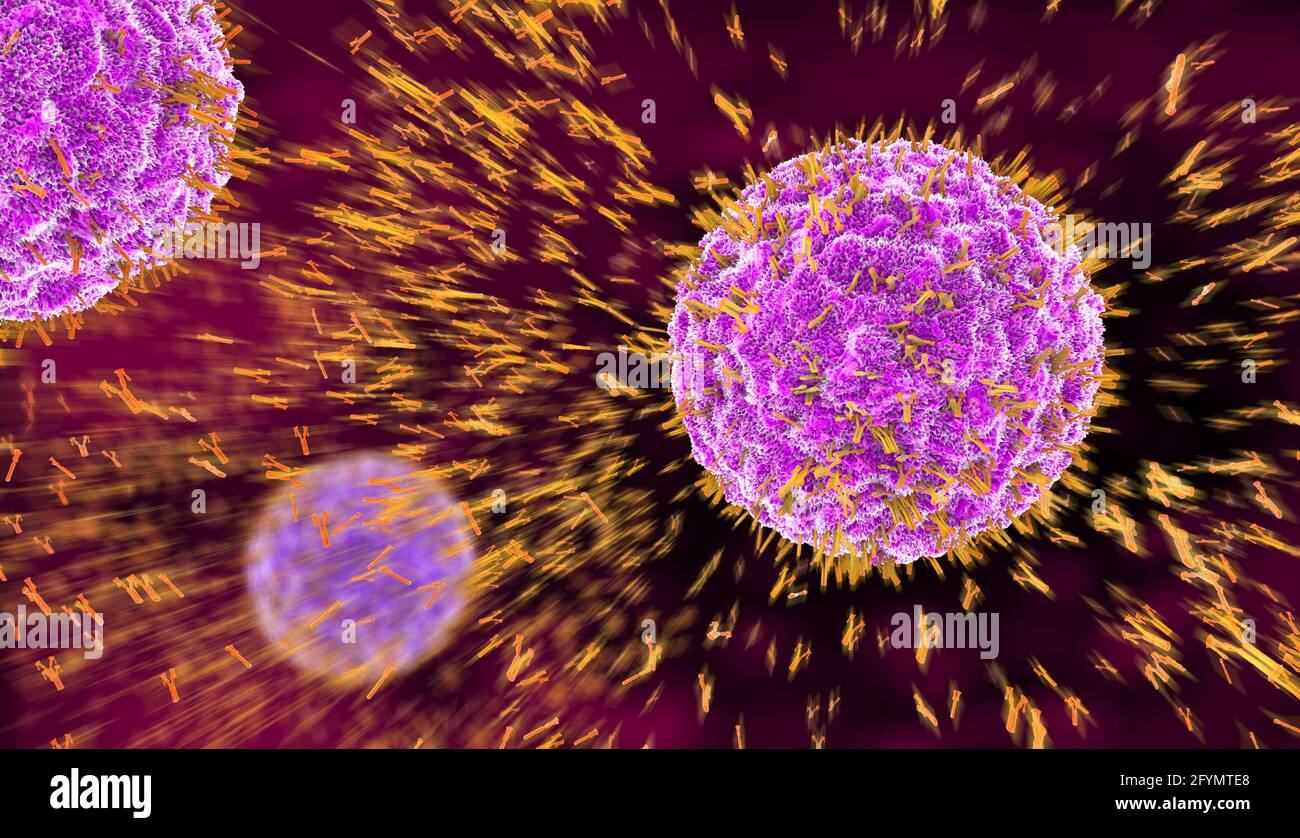 Antibodies attacking virus particles, illustration Stock Photo Alamy