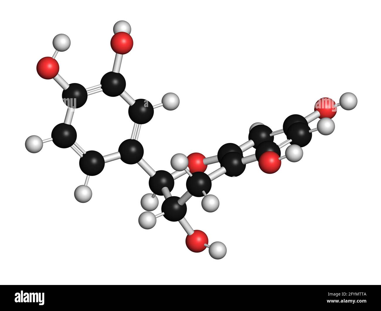 Catechin herbal antioxidant molecule, illustration Stock Photo