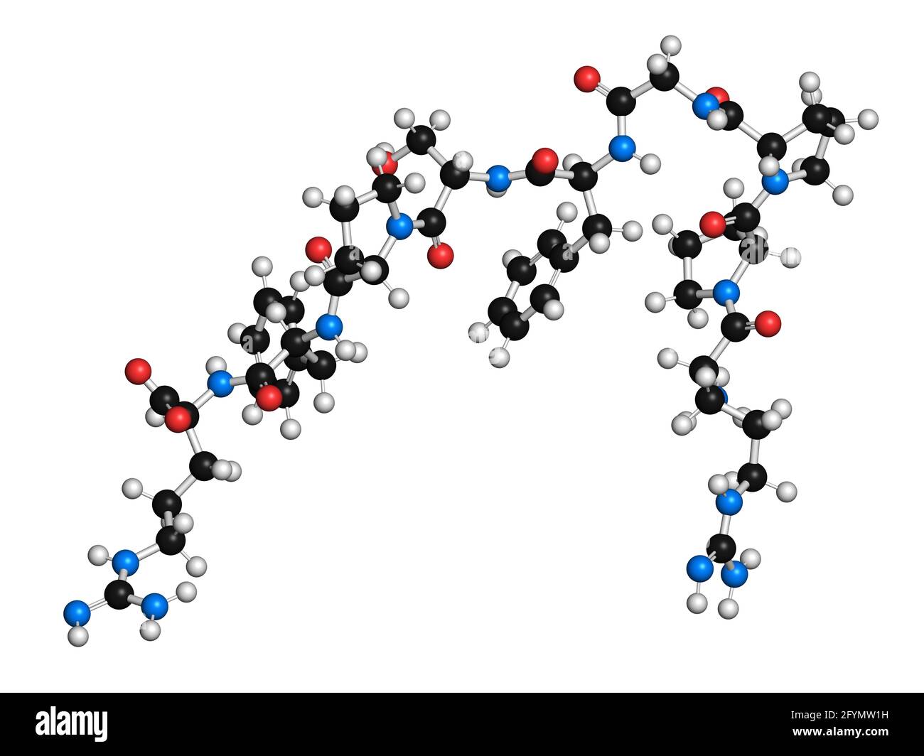 Bradykinin peptide molecule, illustration Stock Photo