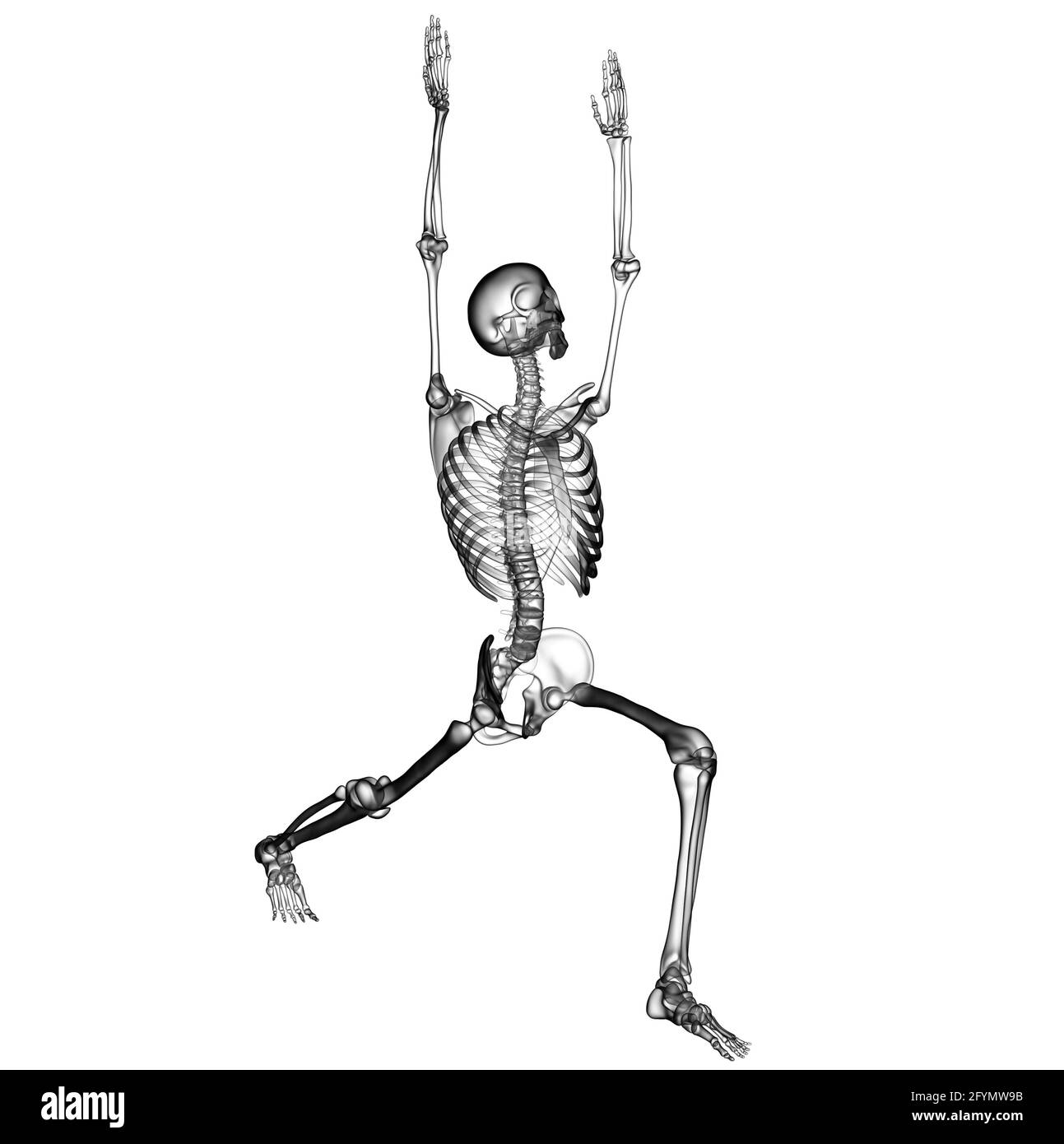 Skeleton in warrior 1 yoga pose, illustration Stock Photo