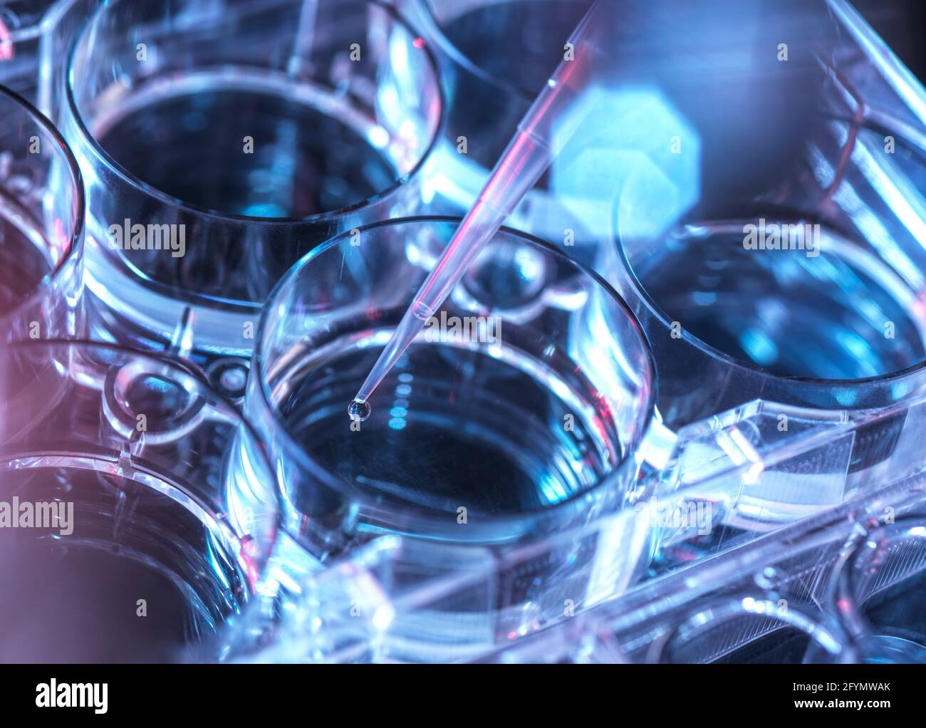 Biotechnology research Stock Photo