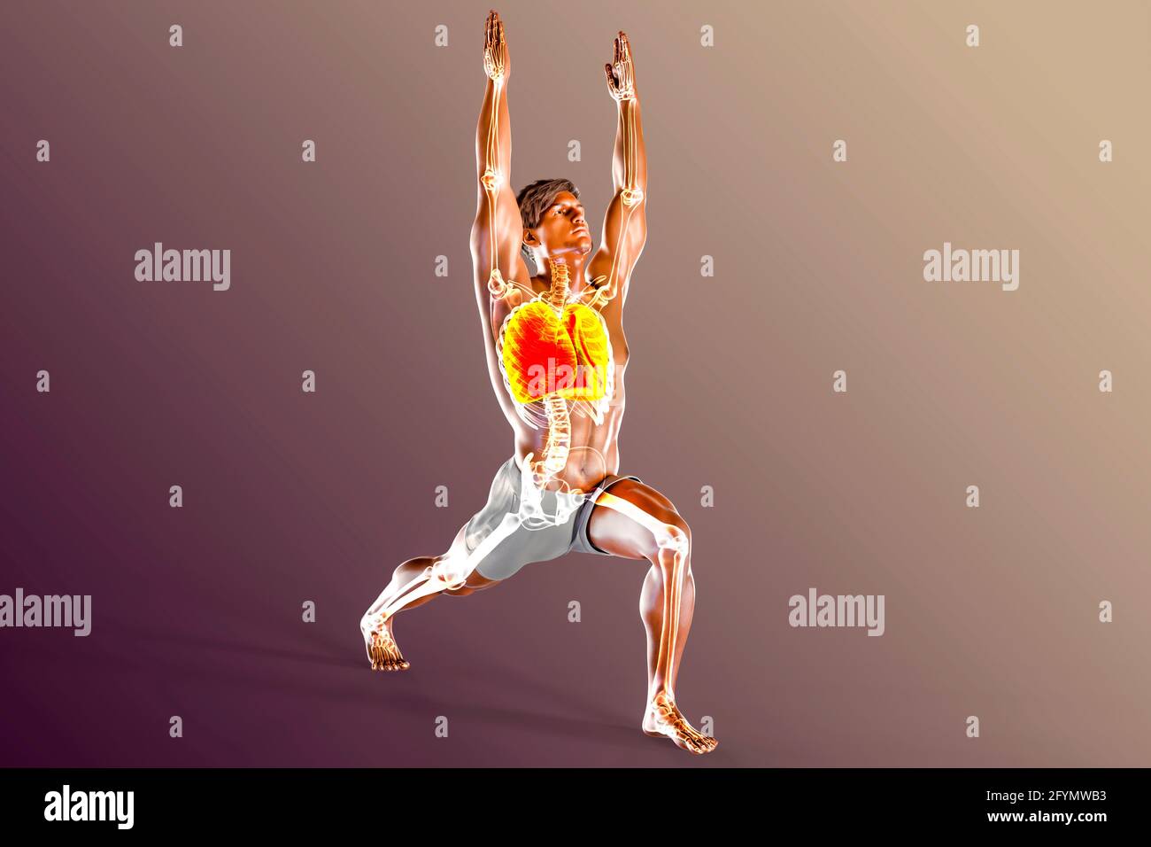 Respiratory regulation and breathing in yoga, illustration Stock Photo