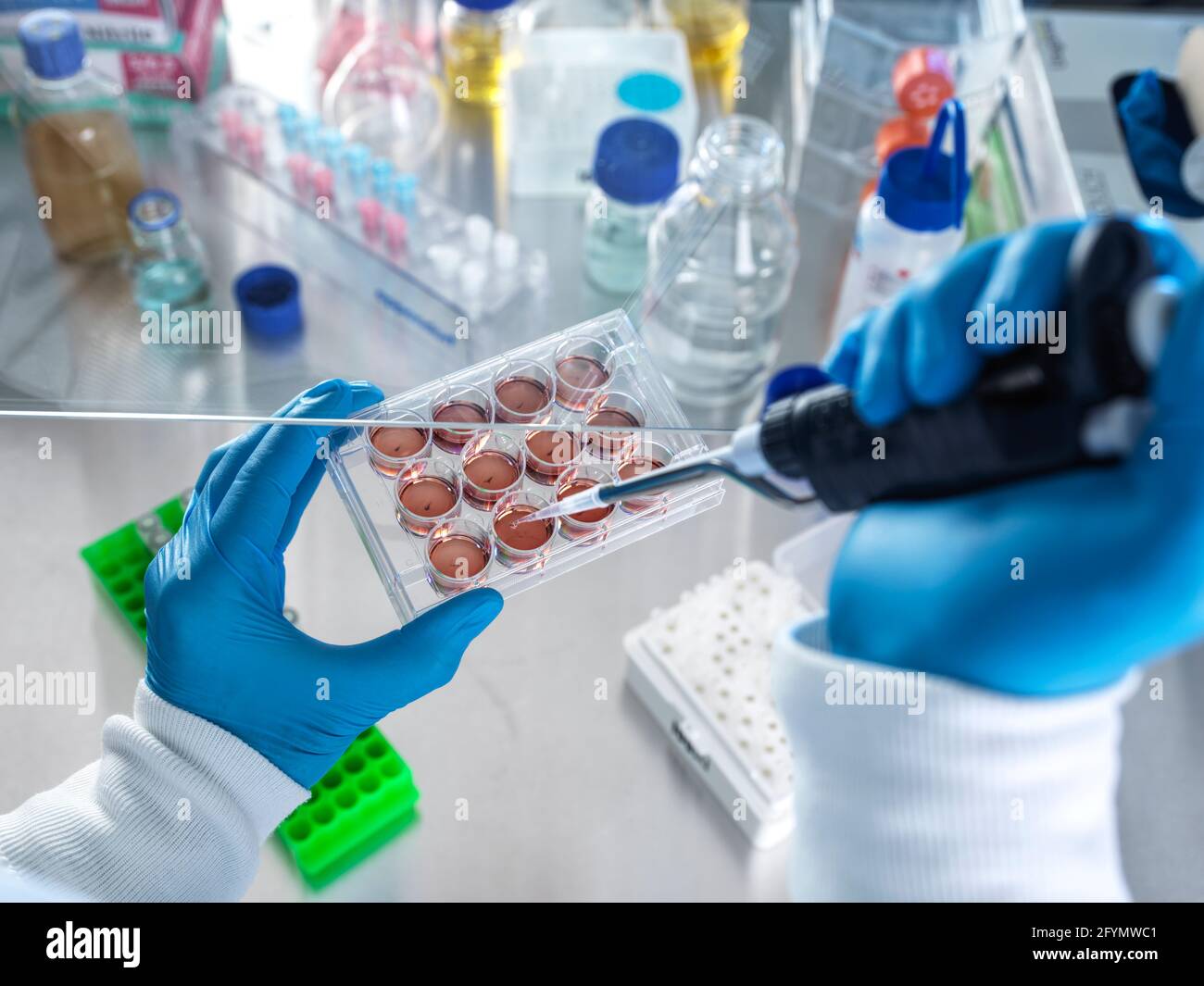 Cell biology research Stock Photo