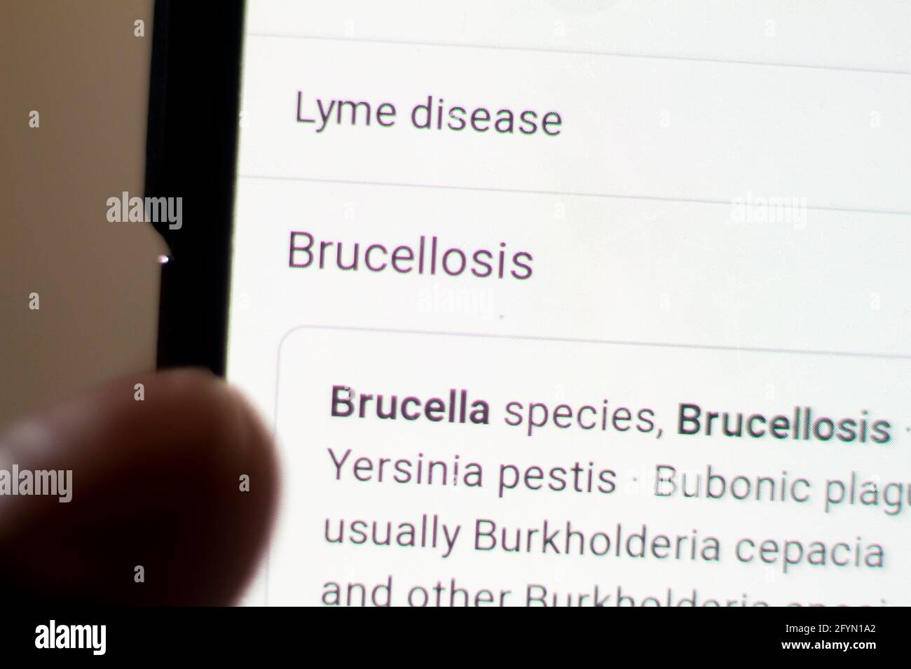 Brucellosis News on the phone.Mobile phone in hands. selective focus and chromatic aberration effects. Stock Photo