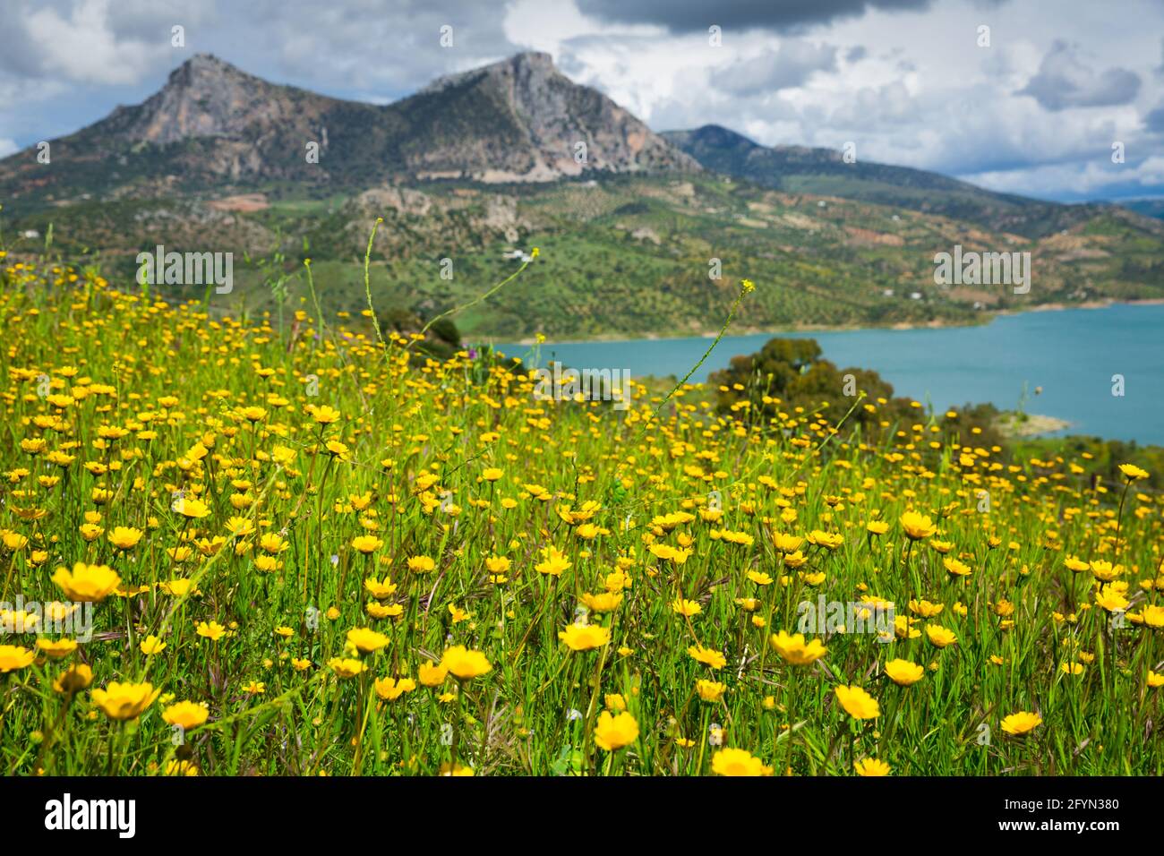 Zahara de la sierra flowers hi-res stock photography and images - Alamy