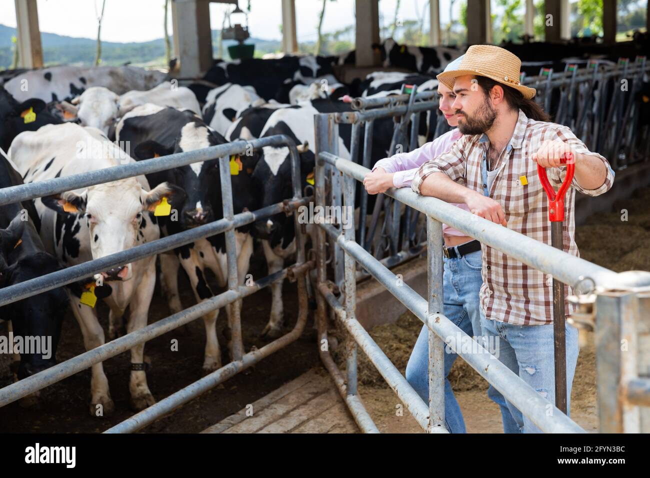 Confident young man and woman owners of dairy farm standing in stall on