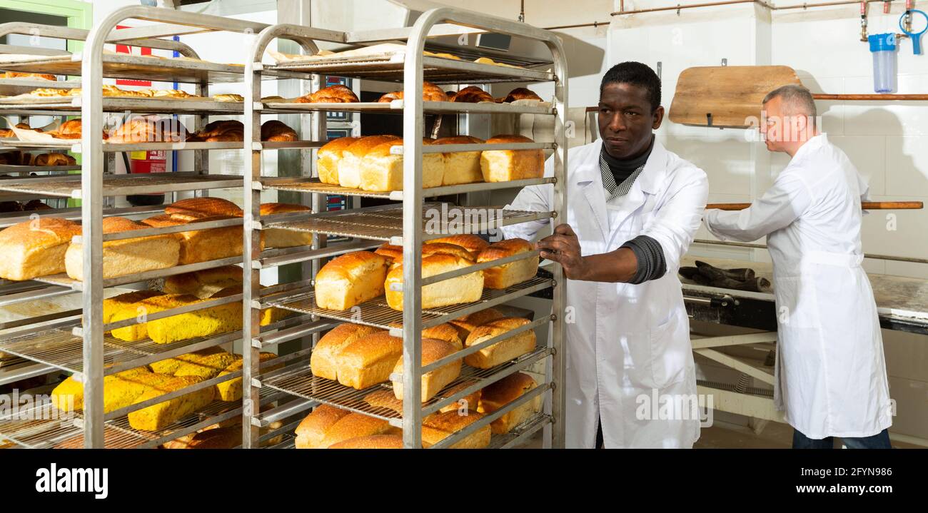 Professional African American baker carrying fresh baked bread on tray rack trolley in bakery workshop Stock Photo