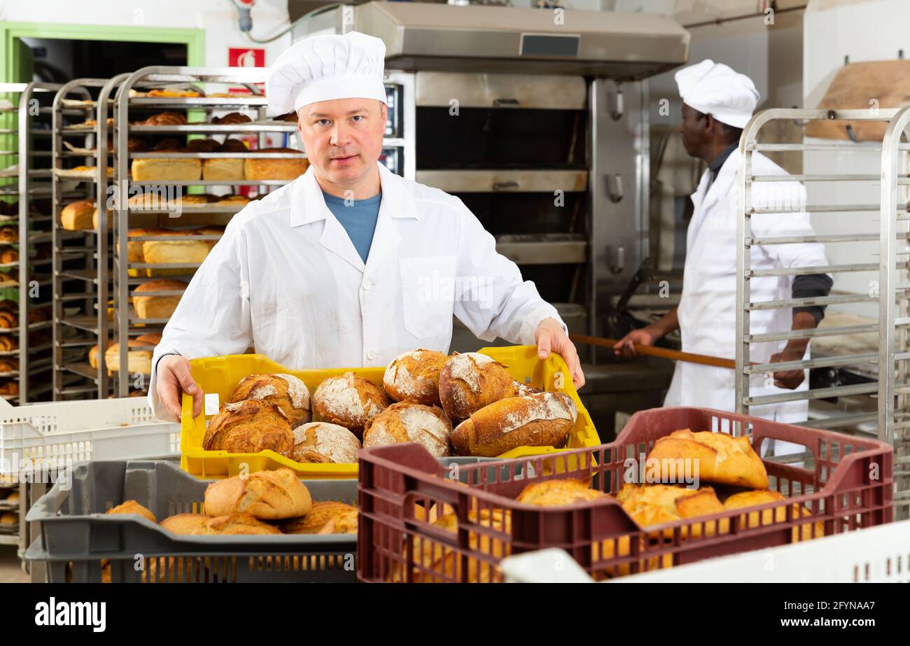 Confident bakery worker carrying plastic box with freshly baked loaves Stock Photo