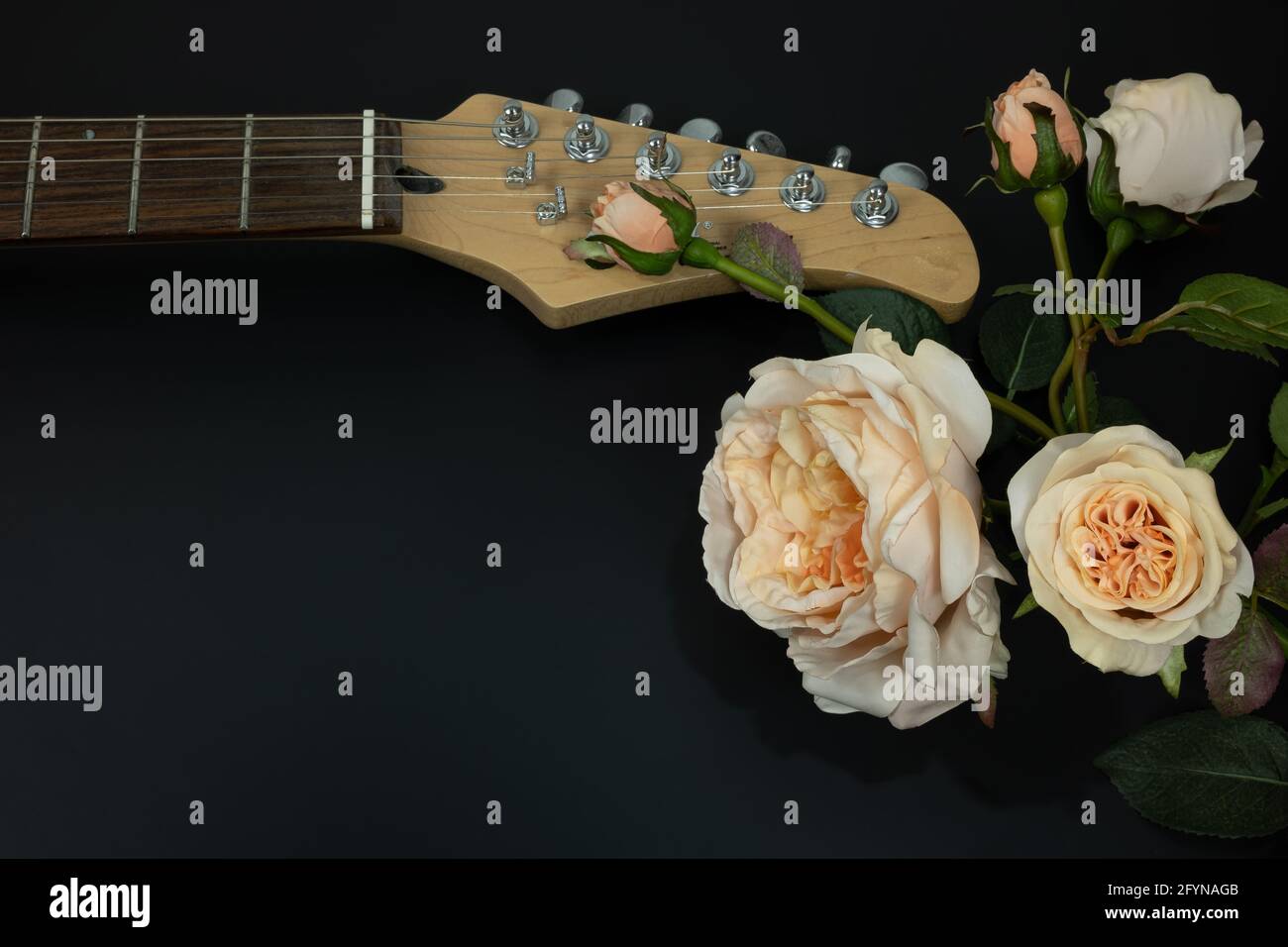 Red Roses Instrumental High Resolution Stock Photography and Images - Alamy