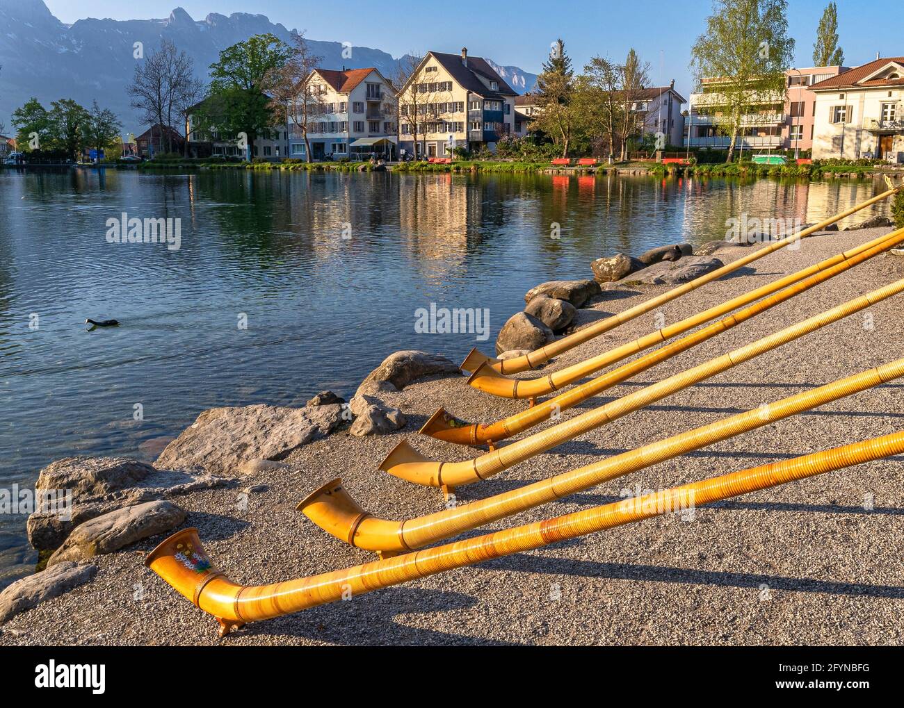 The musical instrument alphorn or alpenhorn or alpine horn is a labrophone, consisting of a straight several meter long wooden natural horn of conical Stock Photo