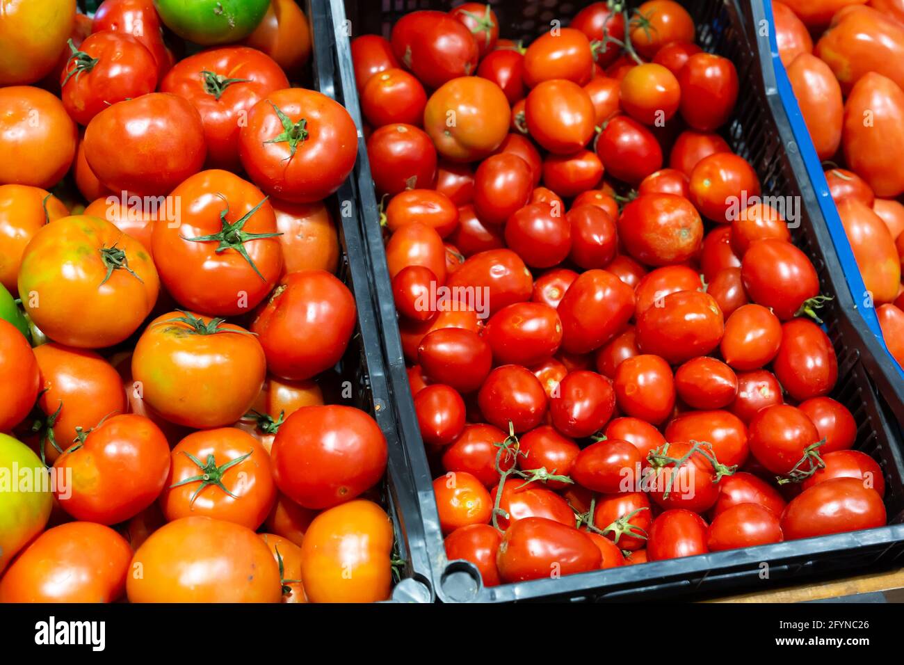 Different varieties of ripe tomatoes offered for sale on counter of ...