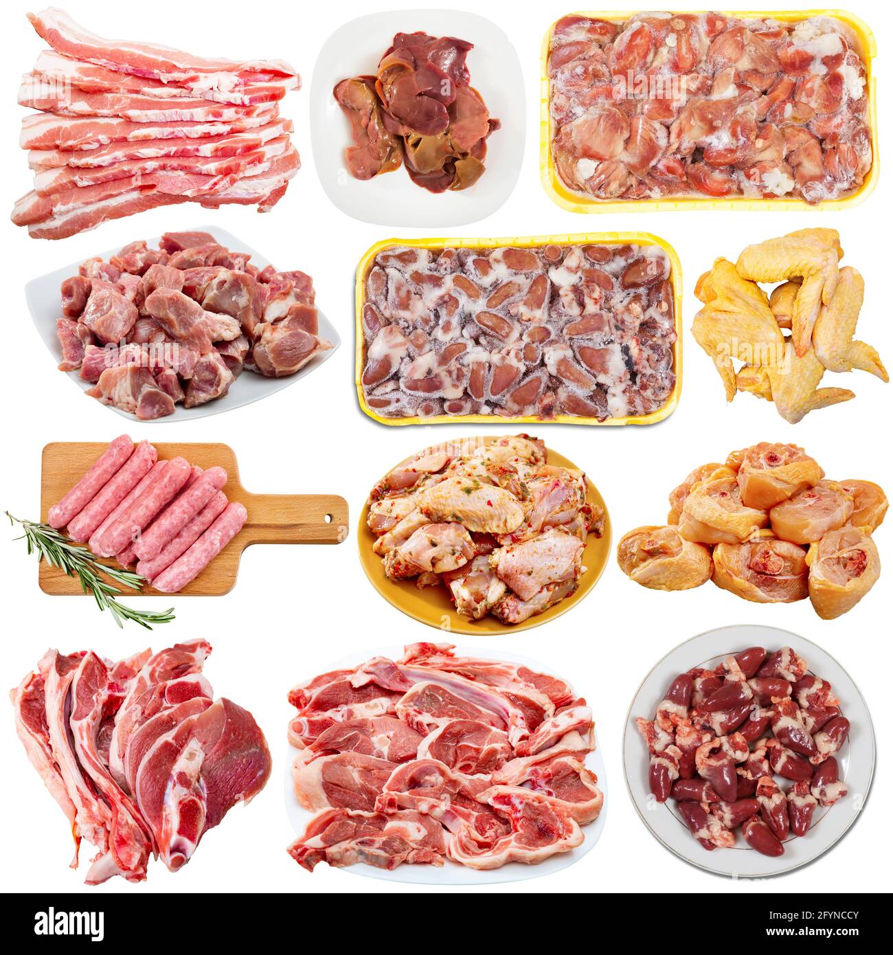 Set of various raw meat and poultry products and semimanufactures