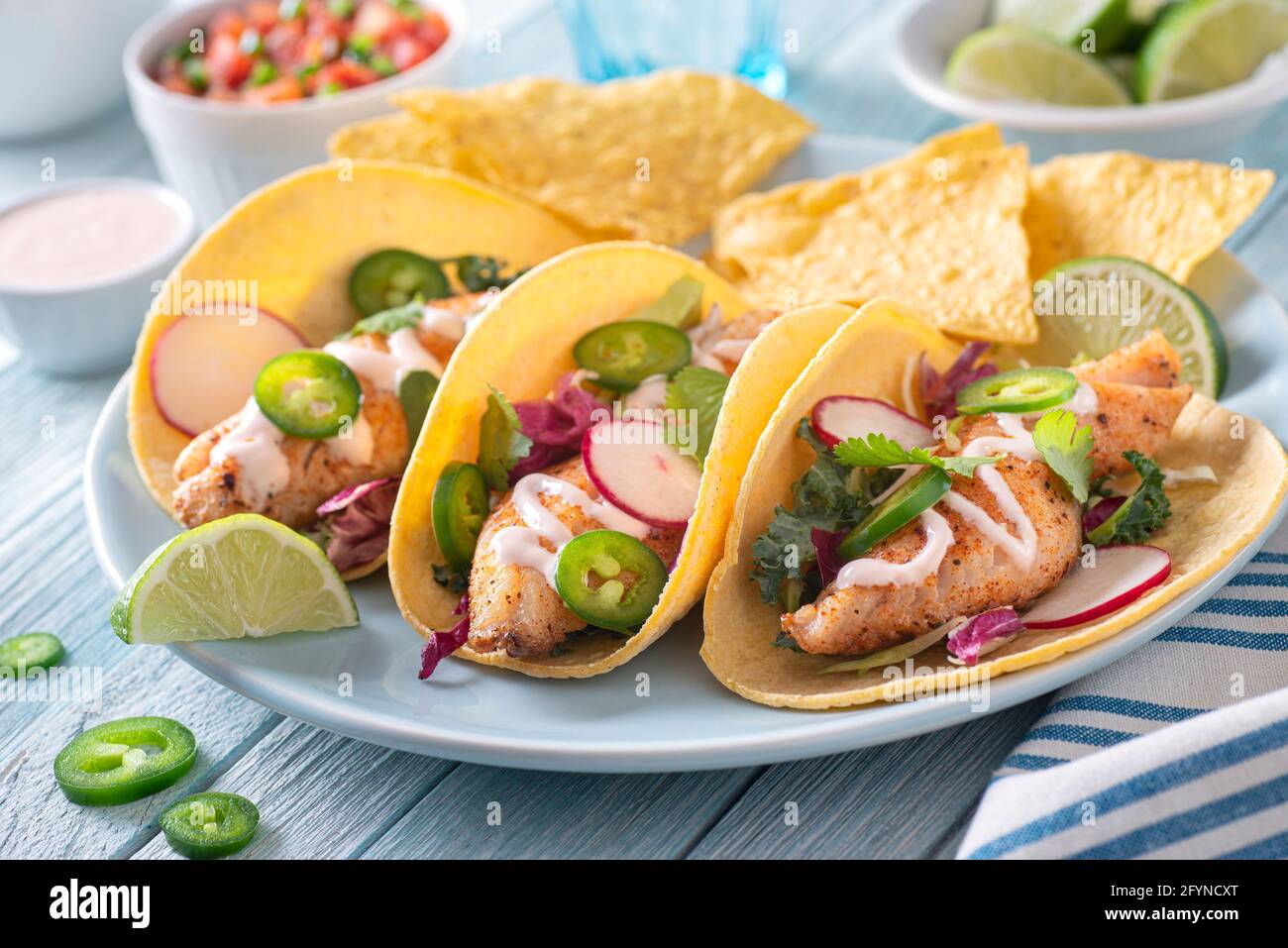 Delicious traditional spicy fish tacos with jalapeno, cilantro, cabbage and radish, Stock Photo