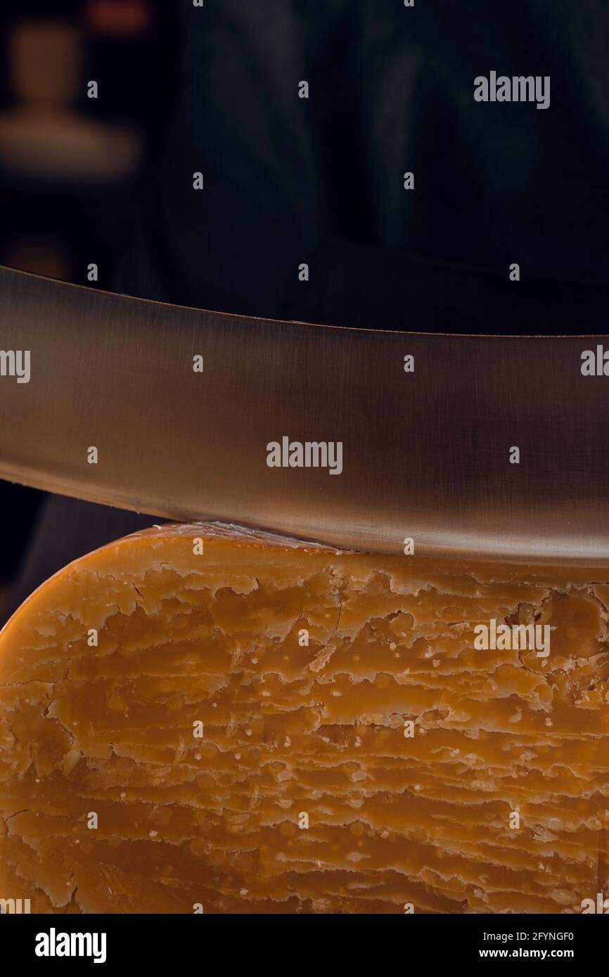 Closeup slicing aged cheese parmesan with crystals using a cheesy
