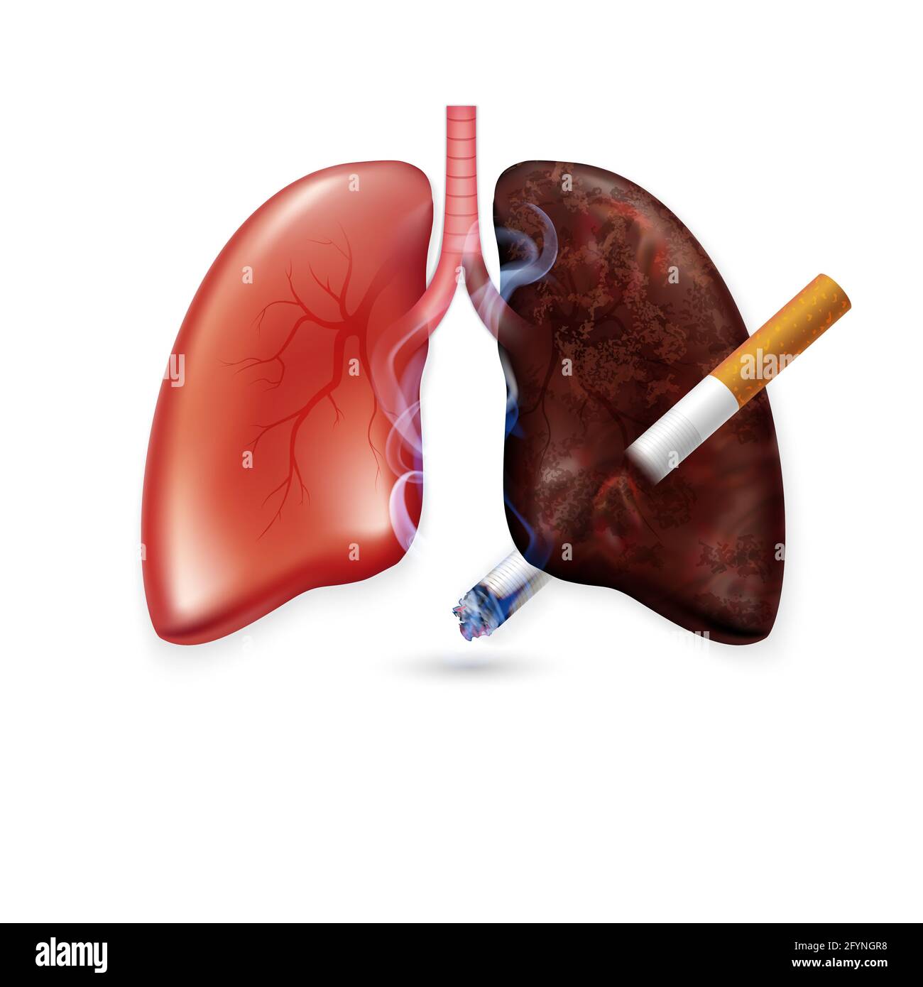 Stop smoking campaign illustration no cigarette for health cigarette  puncture realistic lungs Stock Photo - Alamy