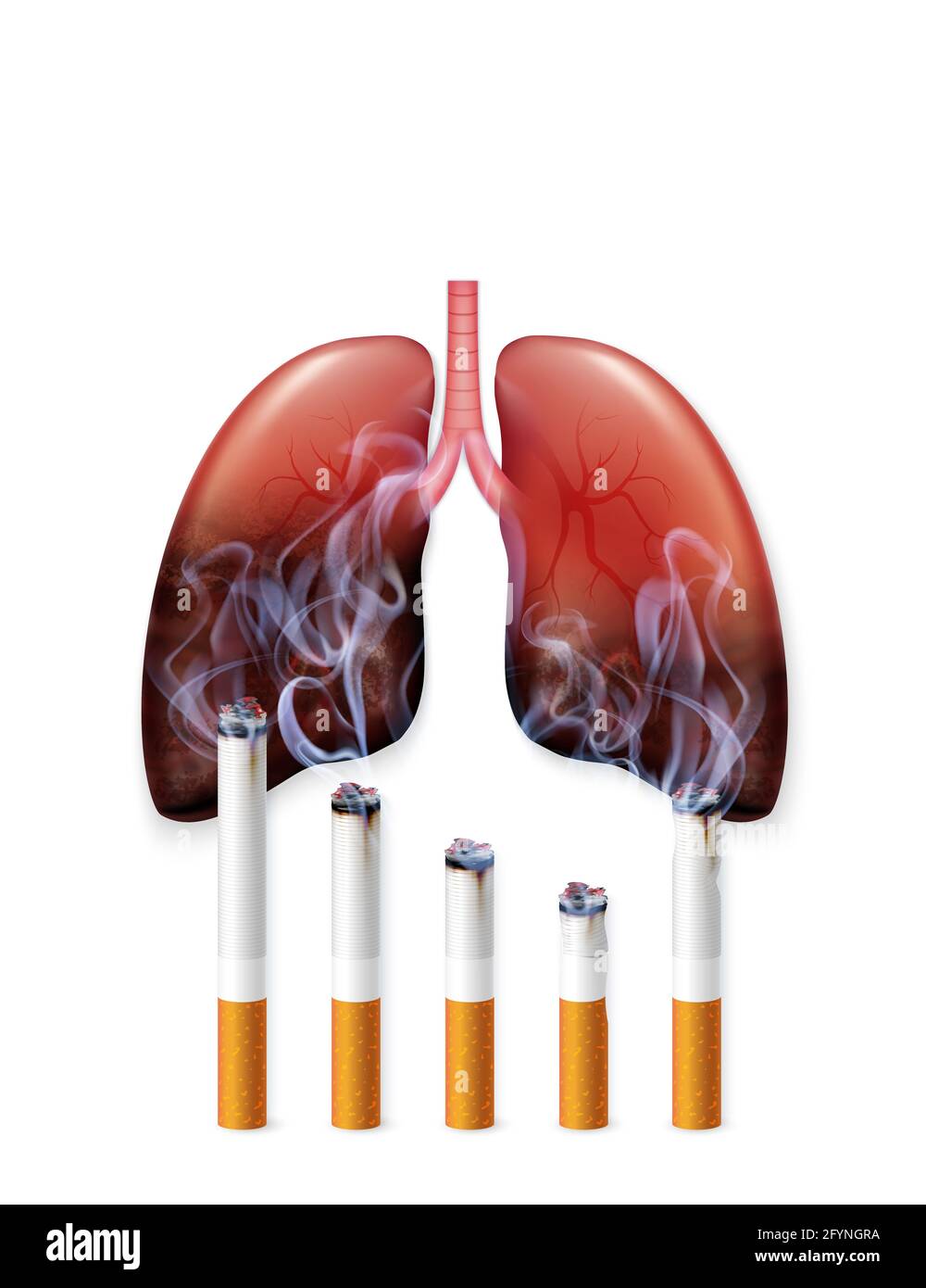 how many types of cigarettes How Many Cigarettes Are in a Pack? (By Country, Brand & Size)