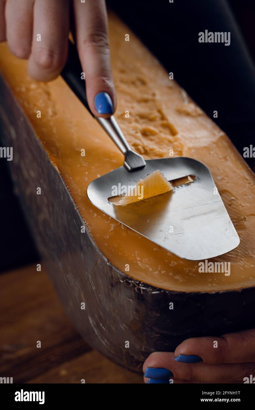 Slicing aged cheese parmesan with crystals using slicer knife. Hard cheese with knife for