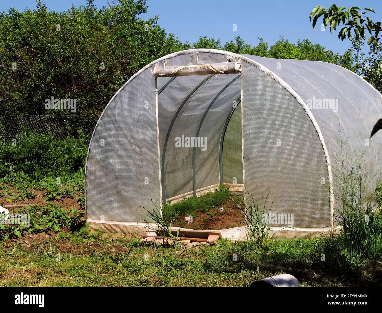 small greenhouse with open door, in summer Stock Photo Alamy