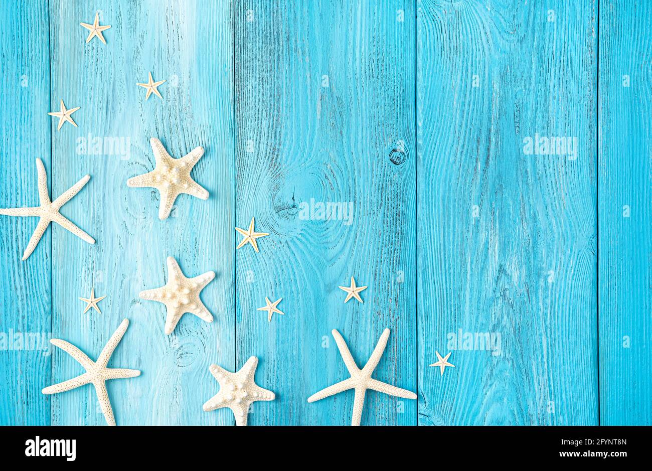 Starfish on a light blue background with space to copy. Top view ...