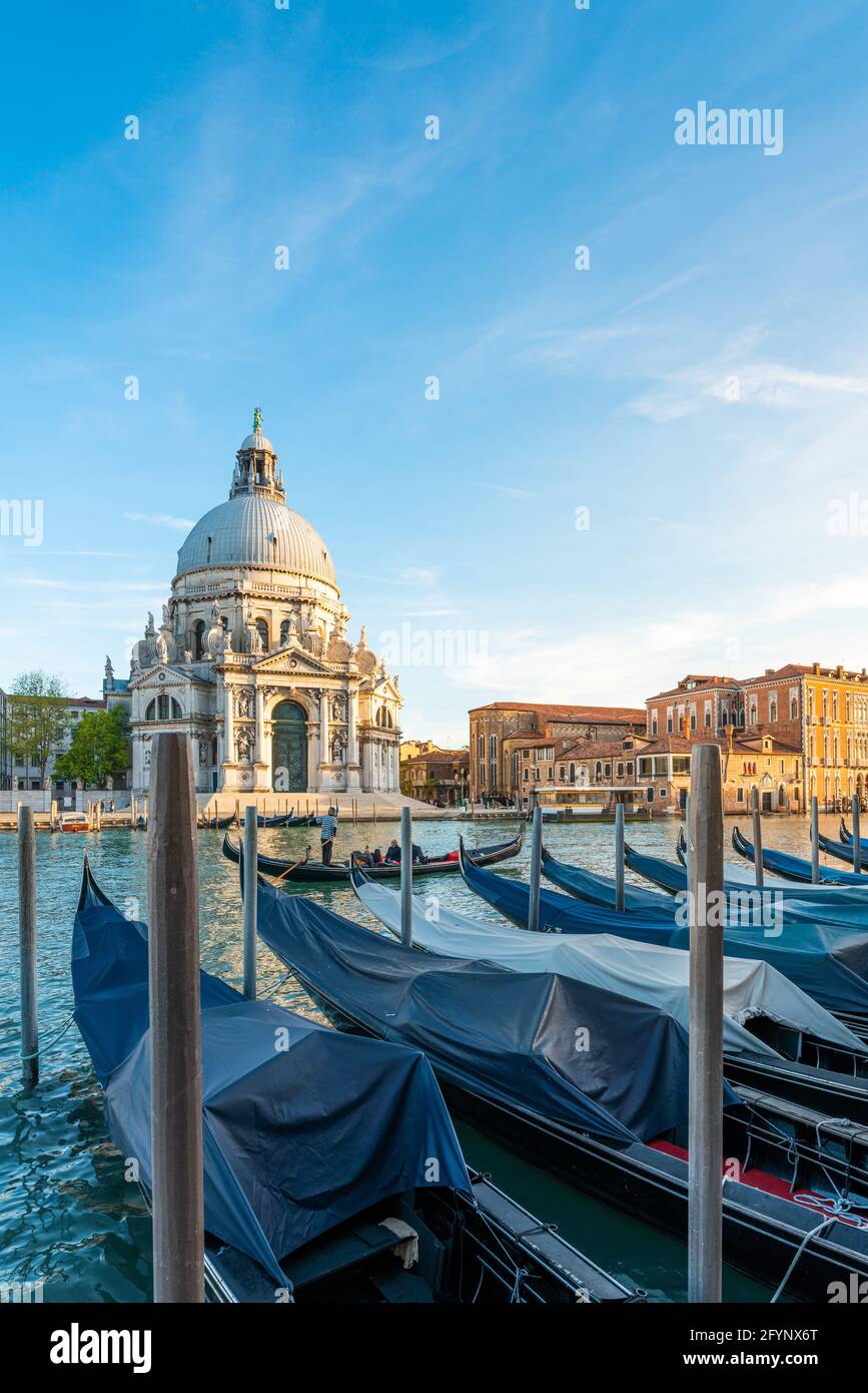 Gondolas and Santa Maria della Salute famous church, Venice, Italy Stock Photo