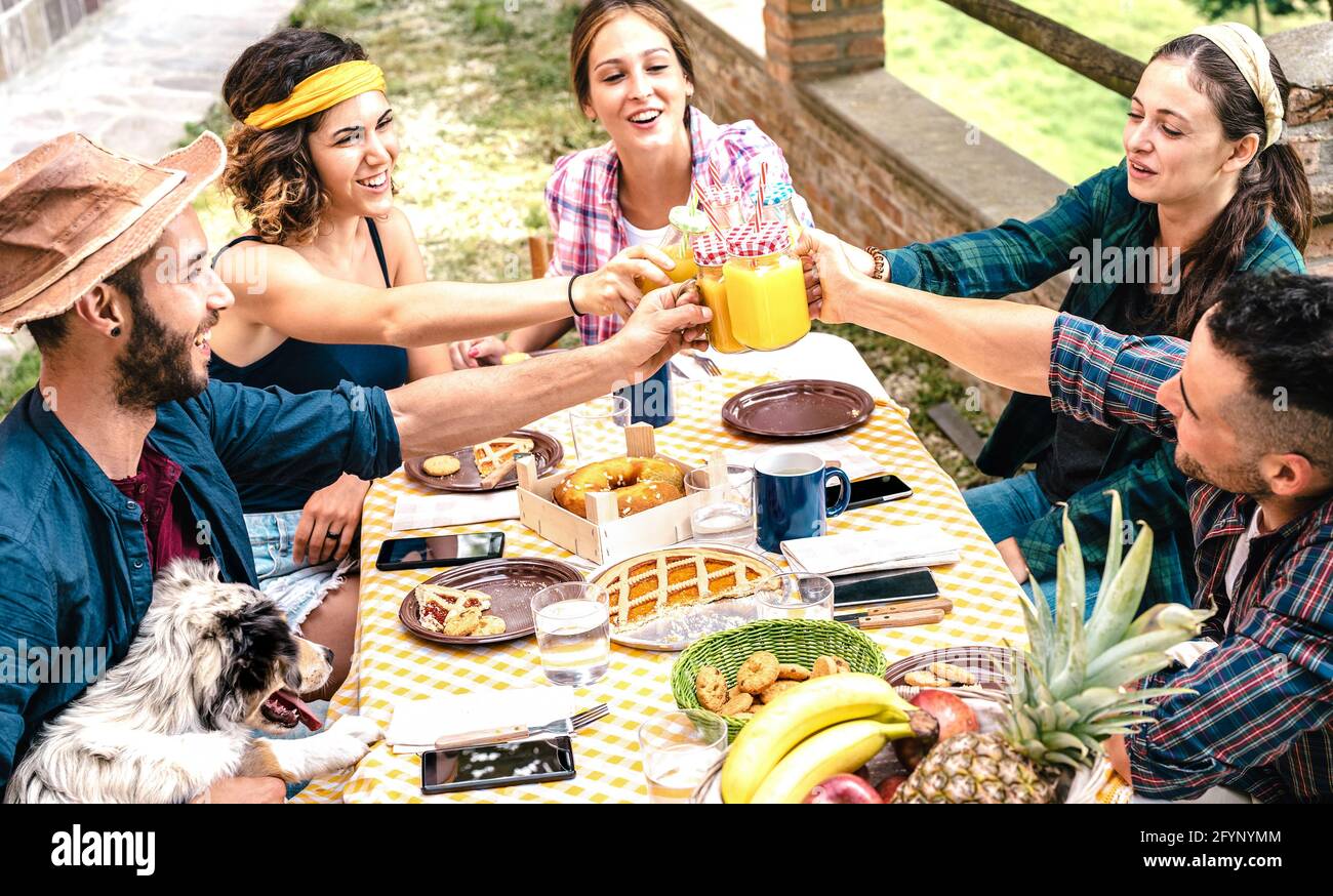 Happy friends toasting healthy fruit juice at countryside picnic - Young family concept with alternative people having fun together with cute dog Stock Photo