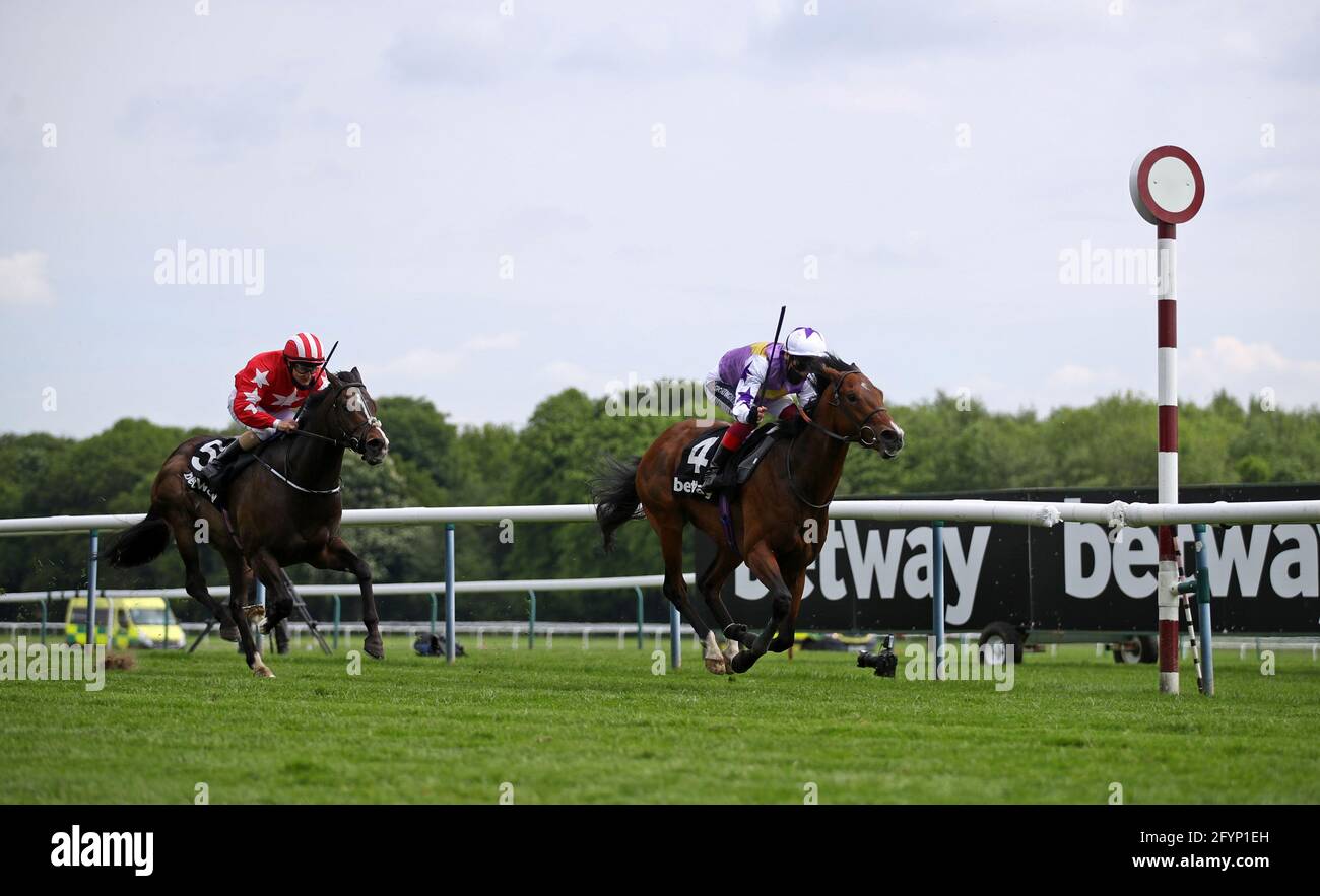 Kinross horse hires stock photography and images Alamy