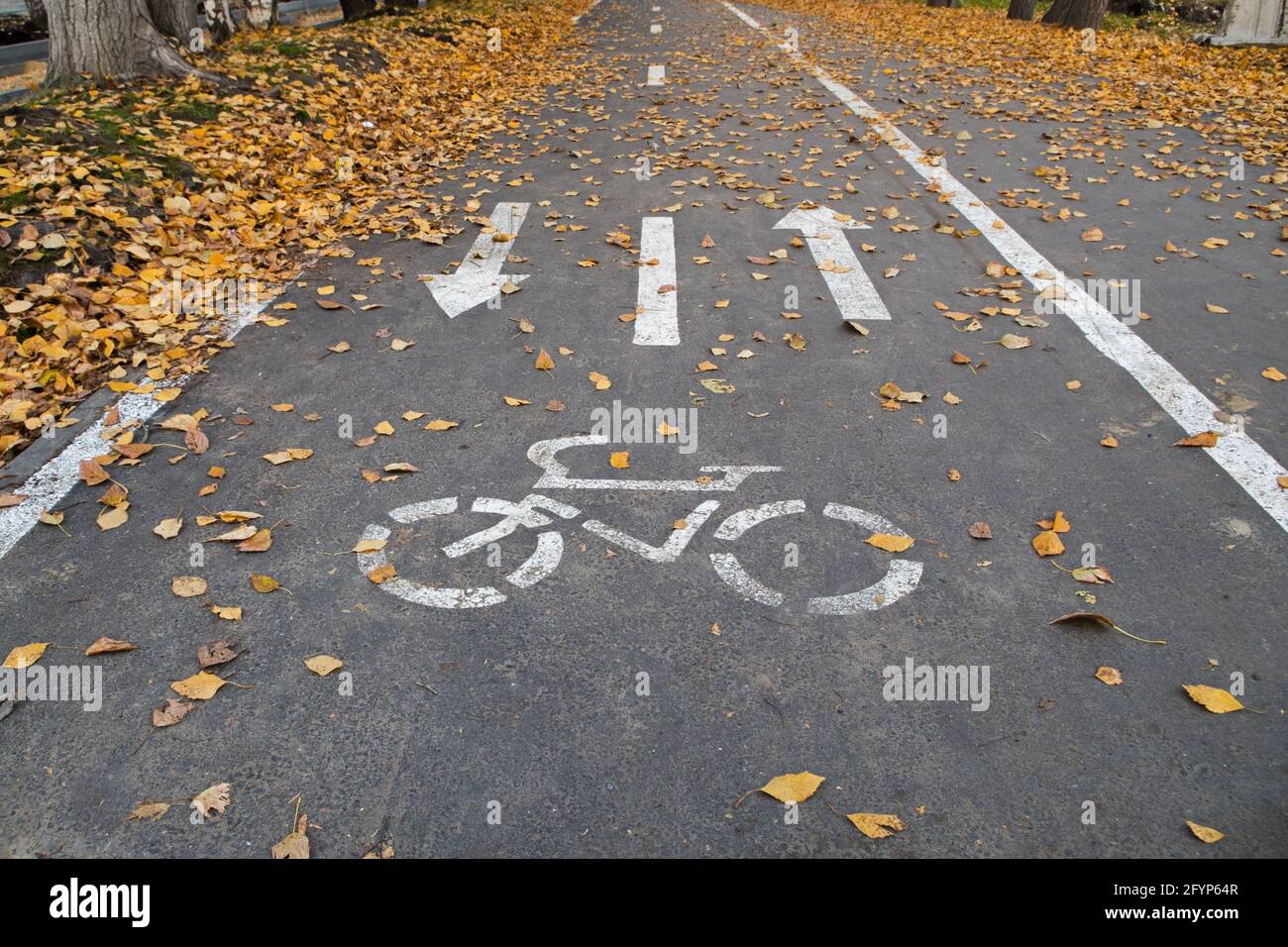 Bicycle path marked on the asphalt pavement near roadway with a white dotted line in the middle and two arrows in opposite directions strewn with yell Stock Photo