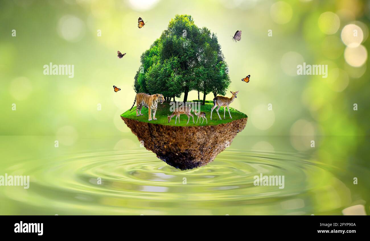 Nature ecology animals protection concept hi-res stock photography and  images - Alamy