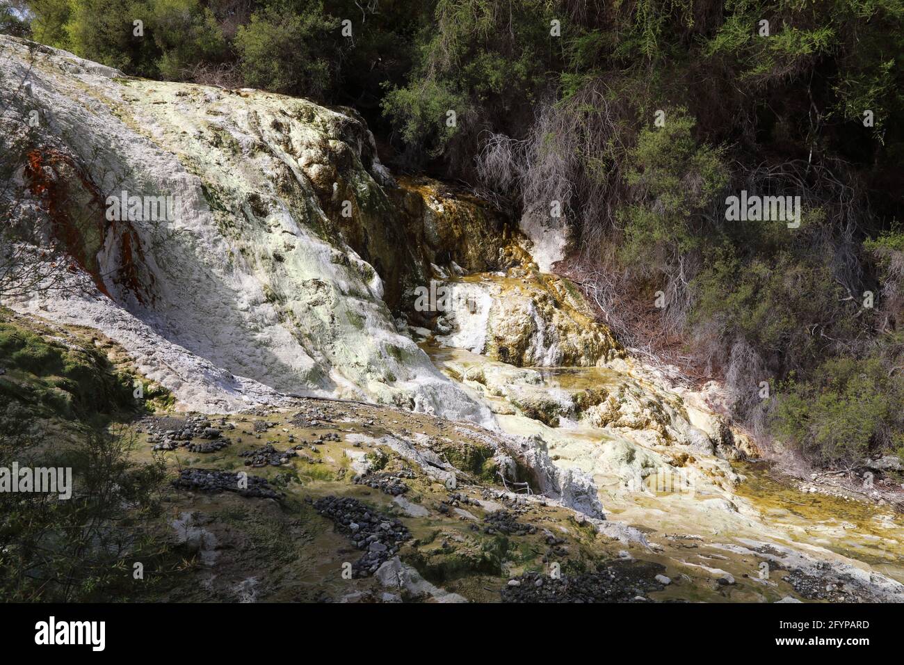 WaiOTapu Thermalwunderland / WaiOTapu Thermal Wonderland Stock