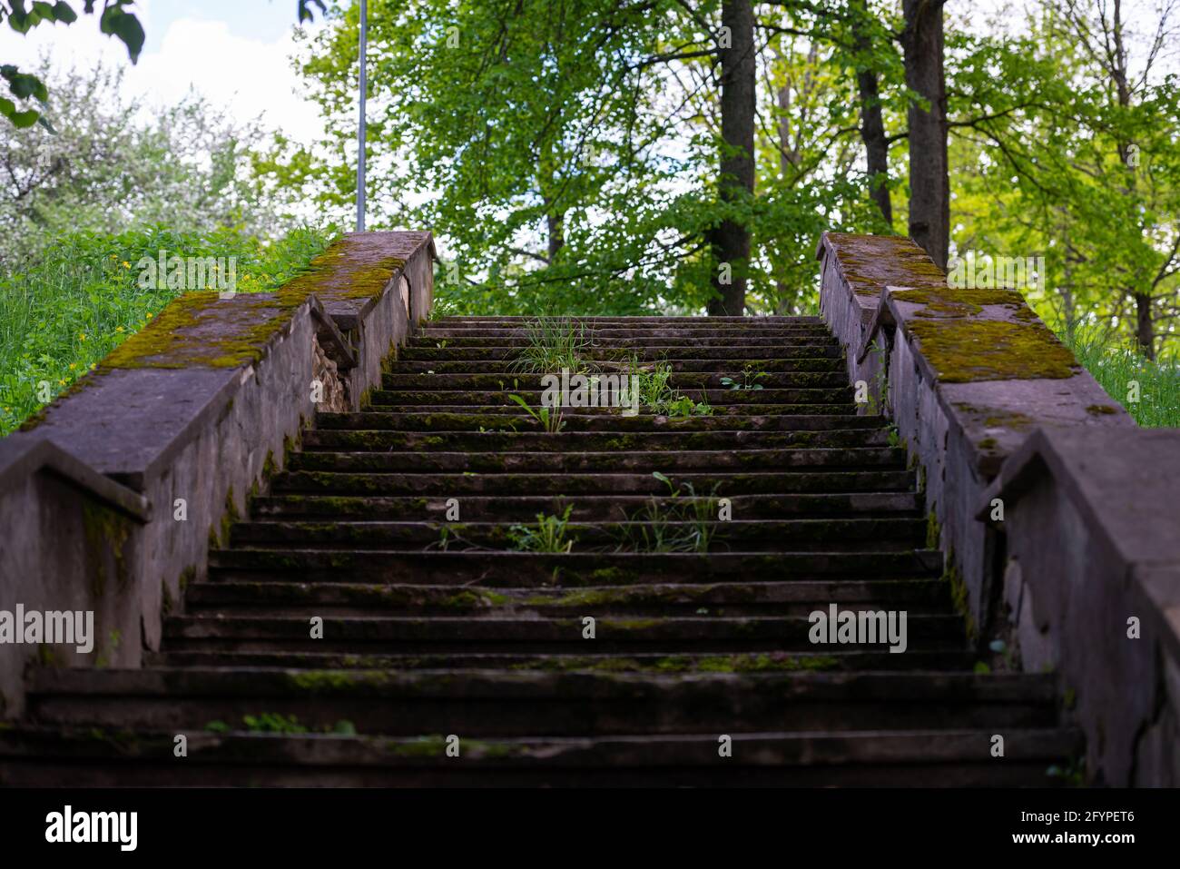 Wonderful old stairs to the top of green hill in the forest Stock Photo