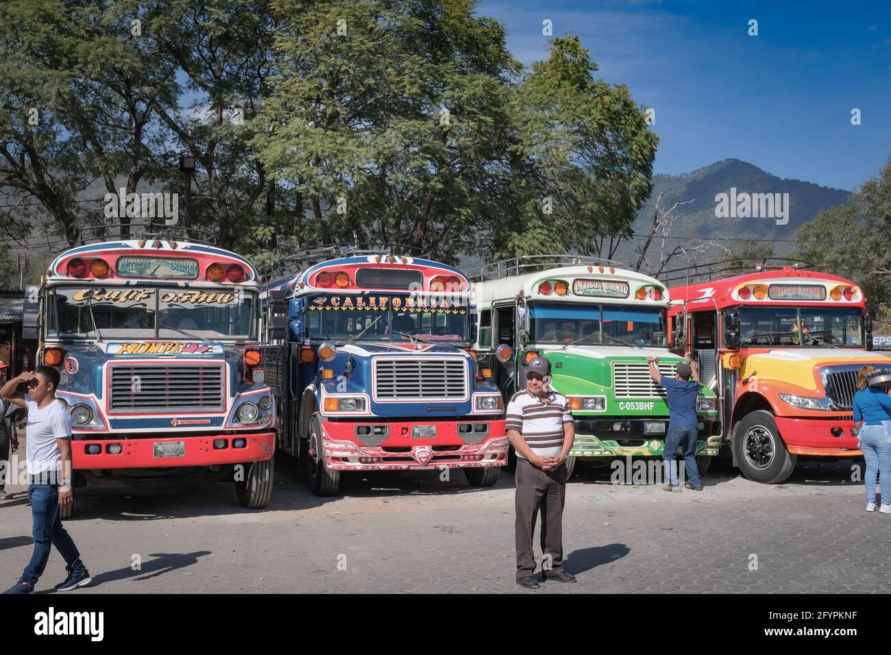 Colourful Guatemalan 'chicken buses' and their drivers await passengers at the bus terminal in Antigua Guatemala Stock Photo