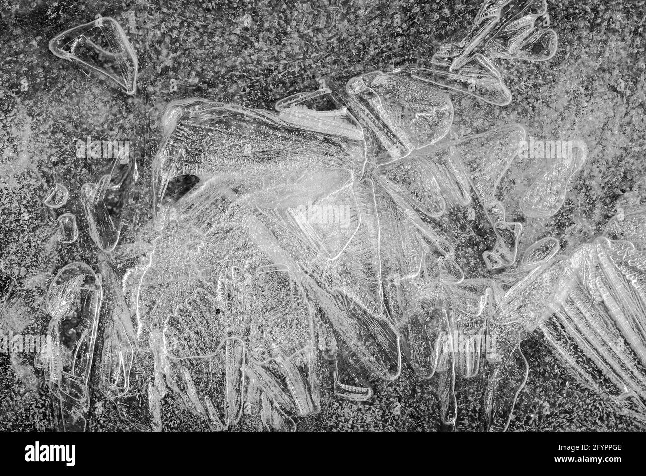 Ice crystals.  Ice crystals in geometric patterns. Ice crystal texture, background Stock Photo
