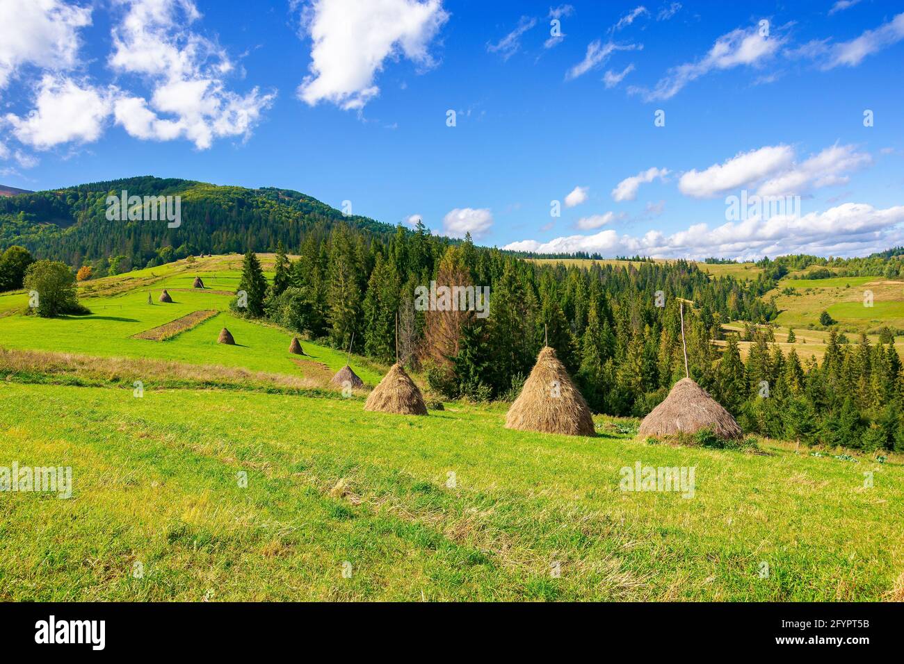 rural landscape with haystacks on the hill. fields and meadows in mountains. wonderful carpathian countryside scenery on a bright september day. cloud Stock Photo