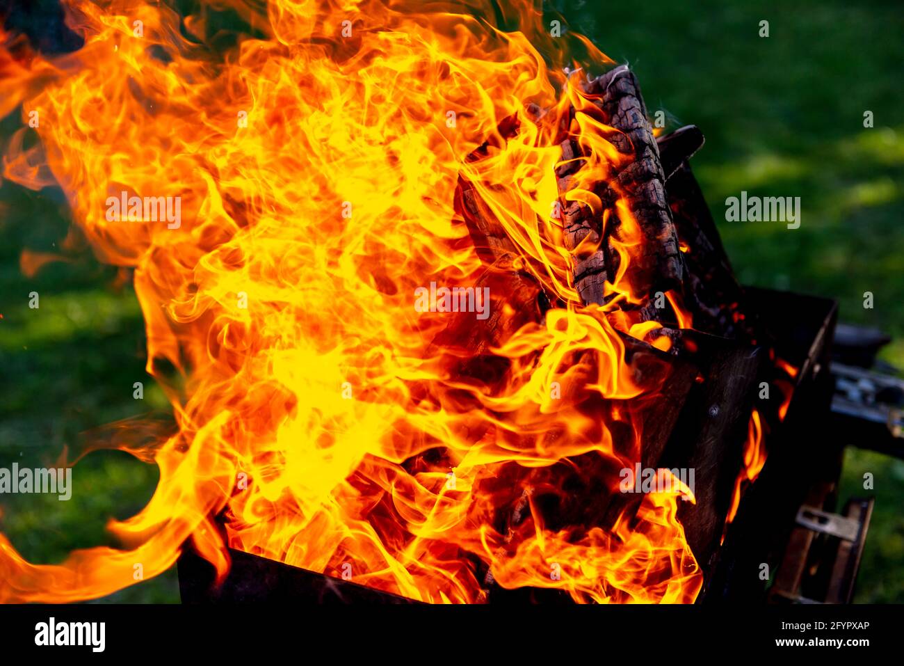 Bright petals of fire on a bright day. The bonfire is at its peak