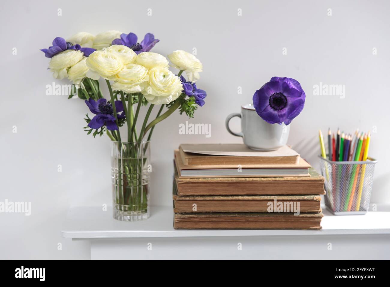 One blue anemone in a cup in the style of the seventies on the table with pile ofbooks as an interior decoration. Pencil holders with pencils and a va Stock Photo