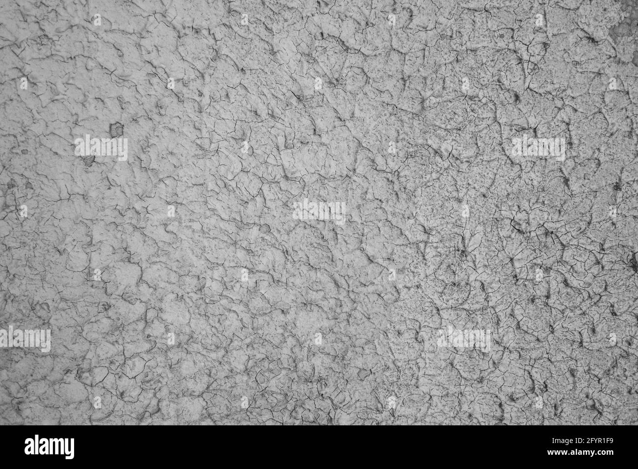 Rough painted surface texture of gray color Stock Photo Alamy