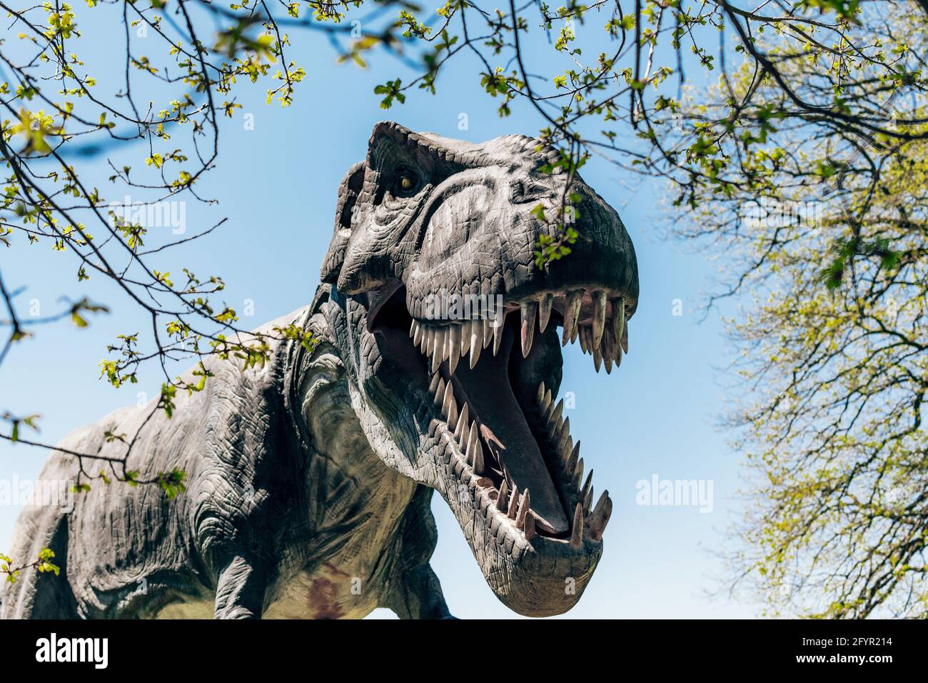 Mean dinosaur hires stock photography and images Alamy