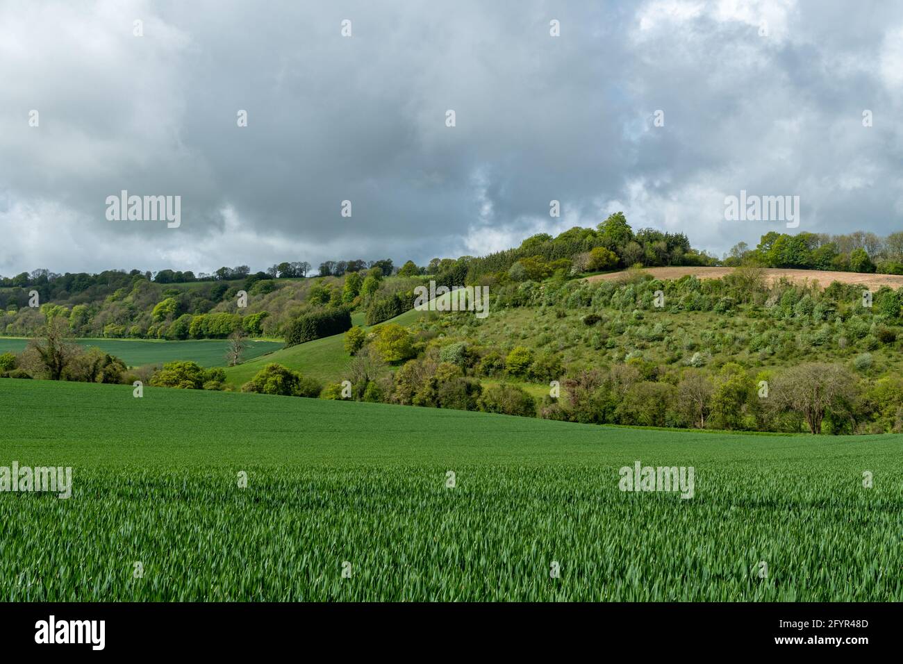 View of countryside landscape in the Meon Vally near West Meon during May, Hampshire, England, UK Stock Photo