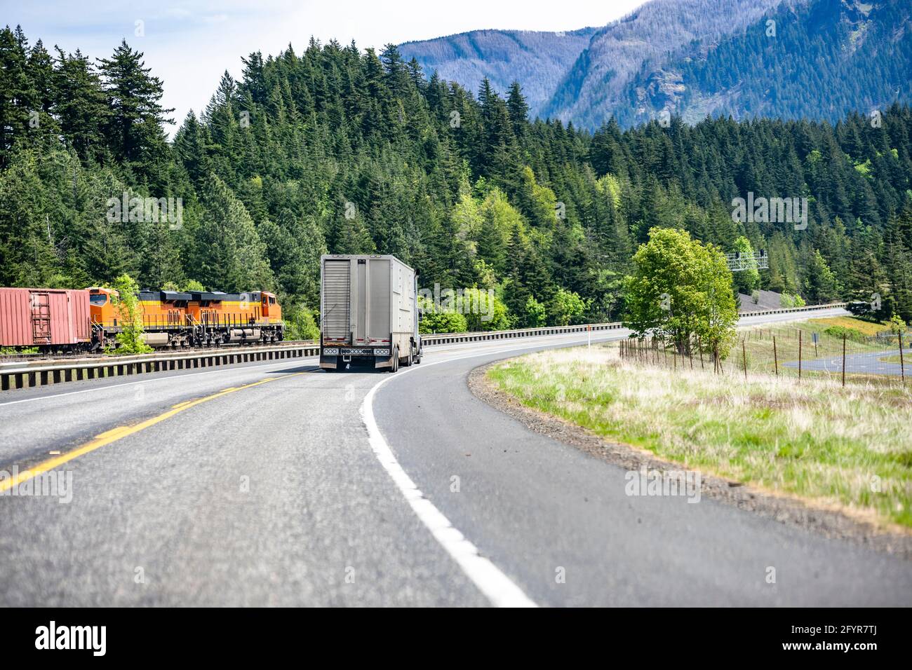 Classic big rig industrial semi truck with semi trailer for for transporting animals running on curving highway road with green mountain forest in Col Stock Photo