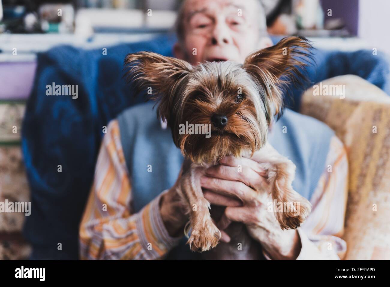 Old man holding puppy hi-res stock photography and images - Alamy