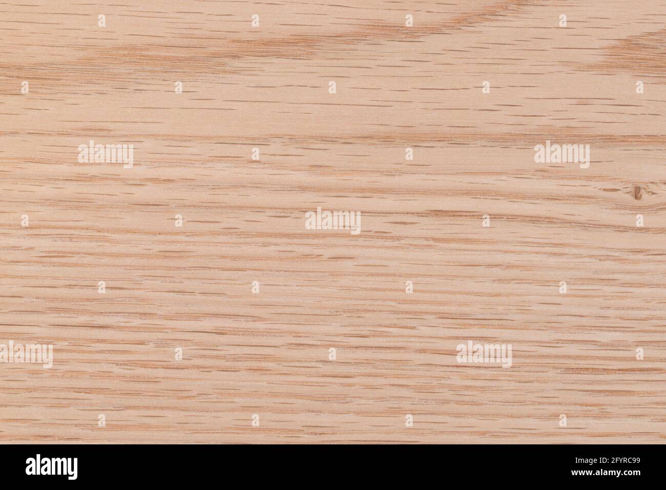 Texture of  Exotic Red Oak Wood veneer Stock Photo