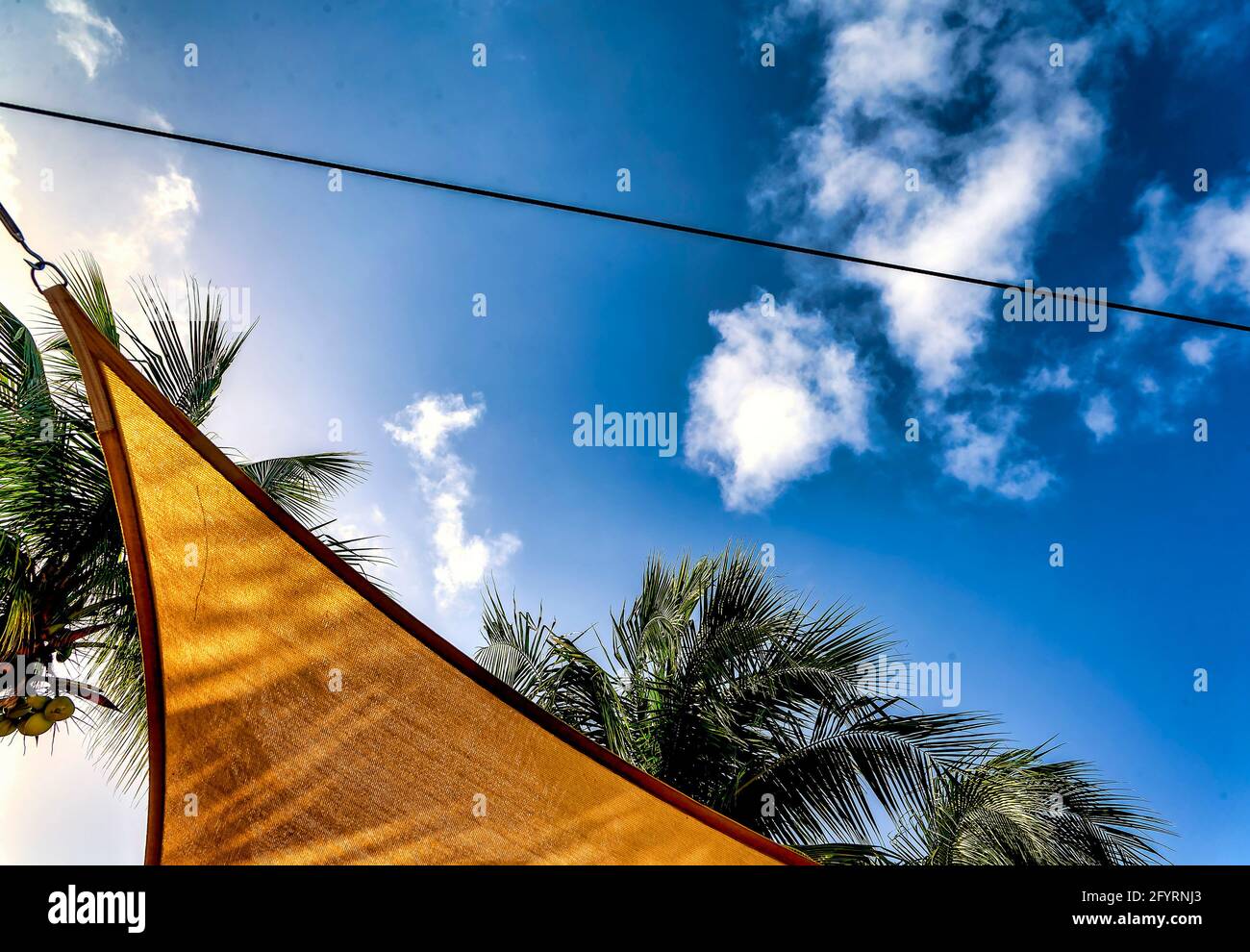 Awning and palm trees in a tropical setting Stock Photo