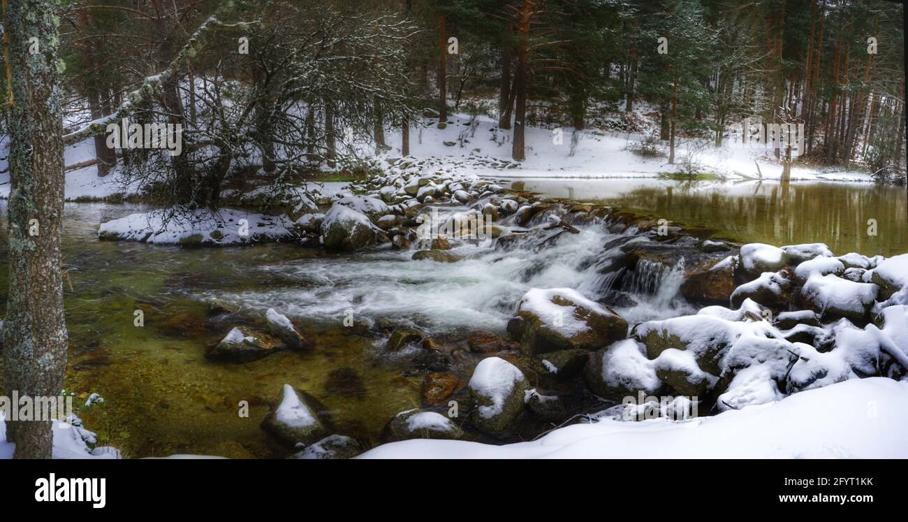 A river flowing through the woods in winter Stock Photo - Alamy