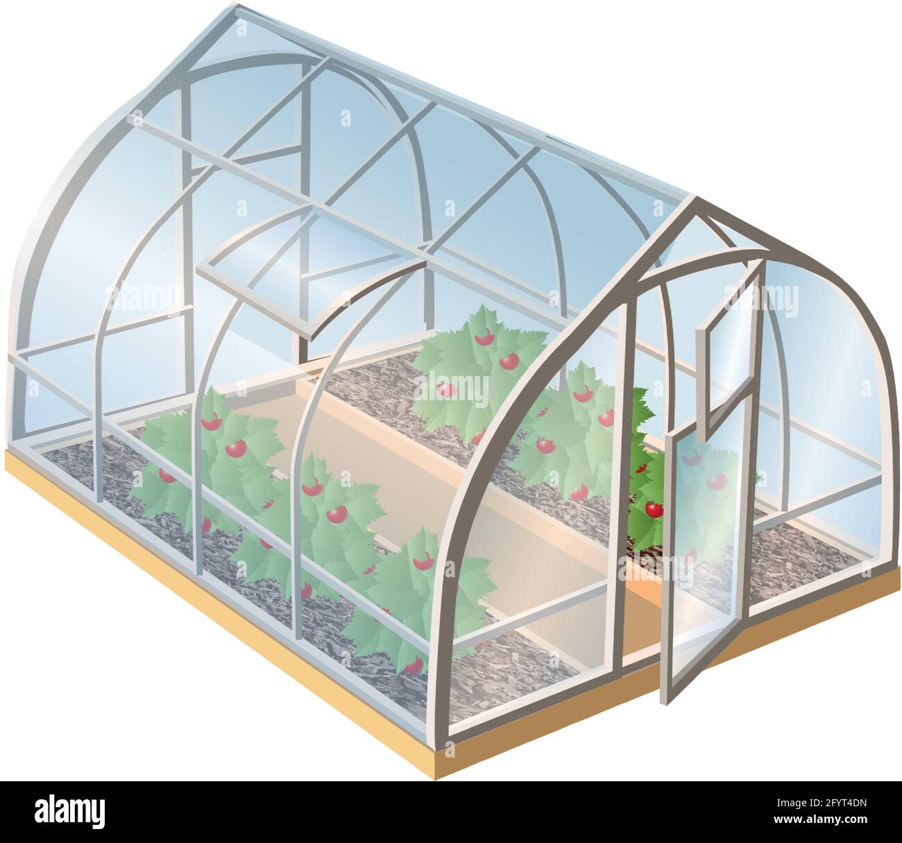 Isometric 3d realistic vector greenhouse with plants and glass with open door. Isolated illustration icon on white background. Stock Vector