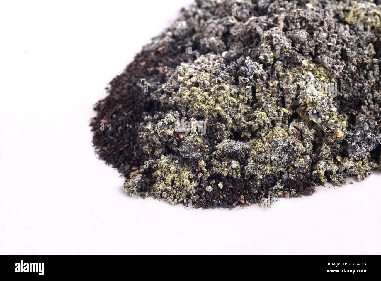 Mould Growing on Coffee Grounds, note select focus with shallow depth of field Stock Photo