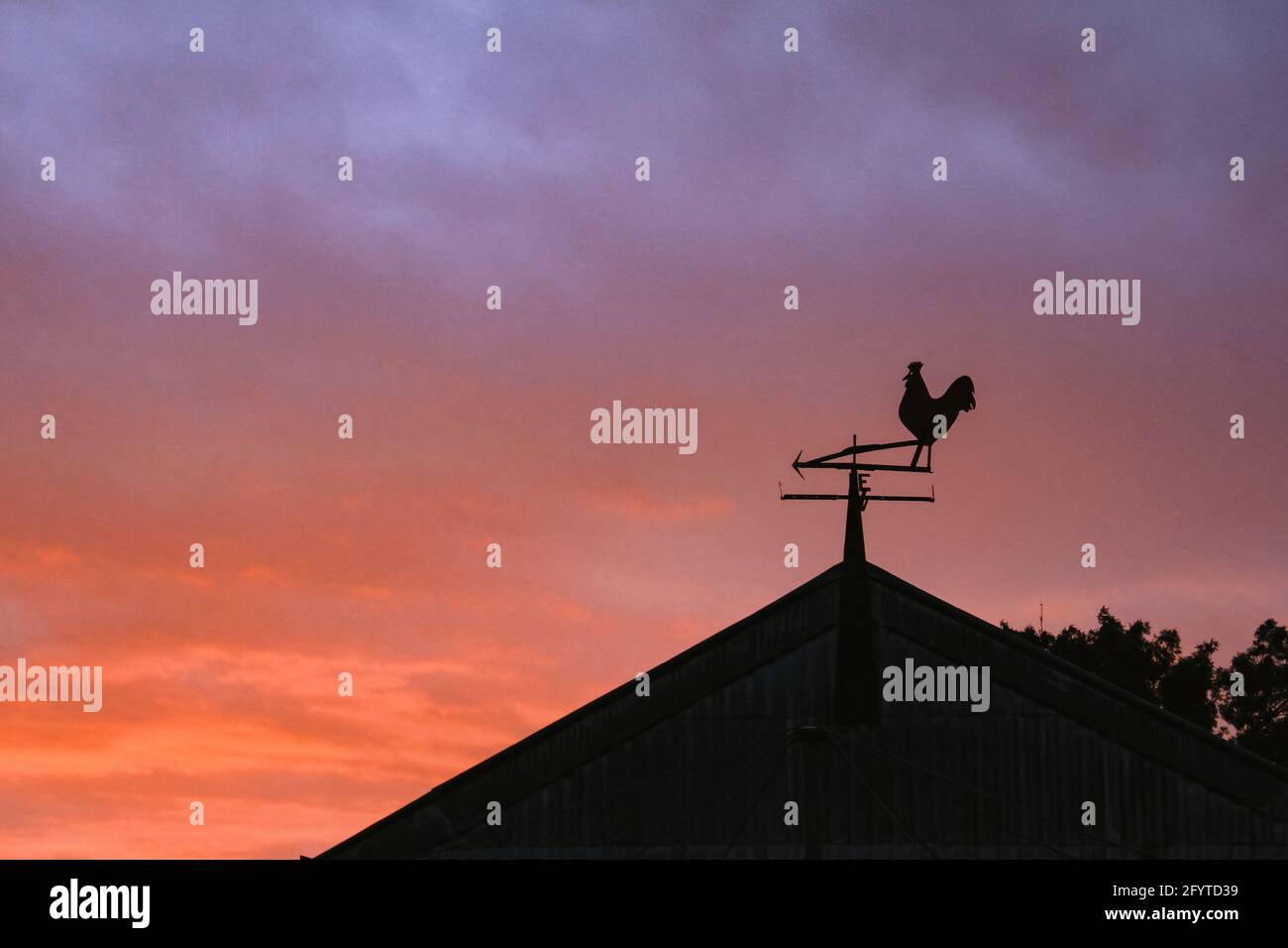 A beautiful view of the weather vane with a rooster on the highest point of a building at sunset Stock Photo