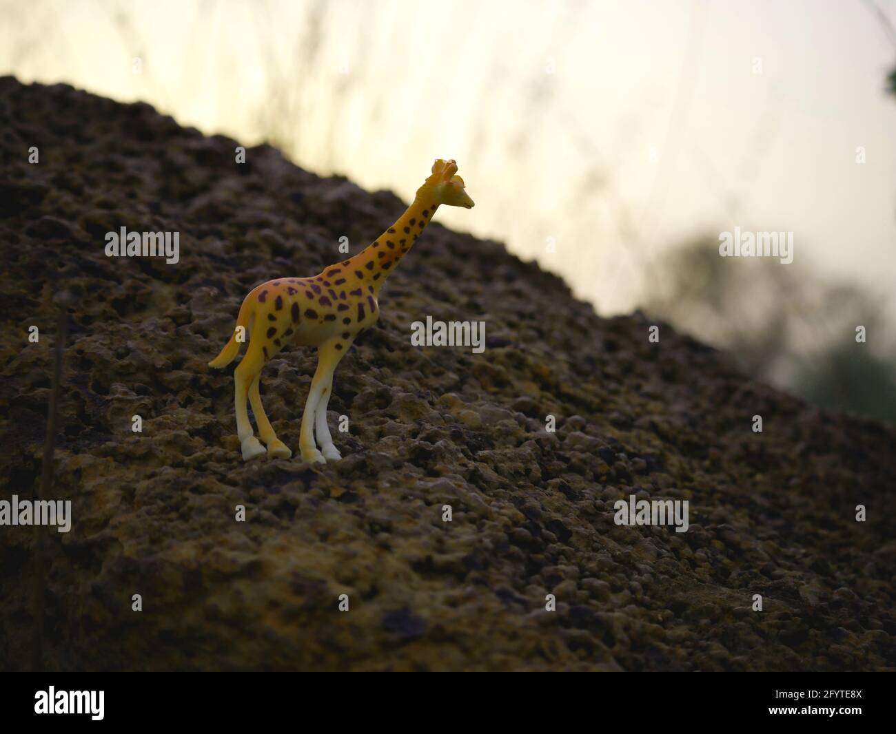 giraffe animal toy isolated around stone rock at forest blur background Stock Photo