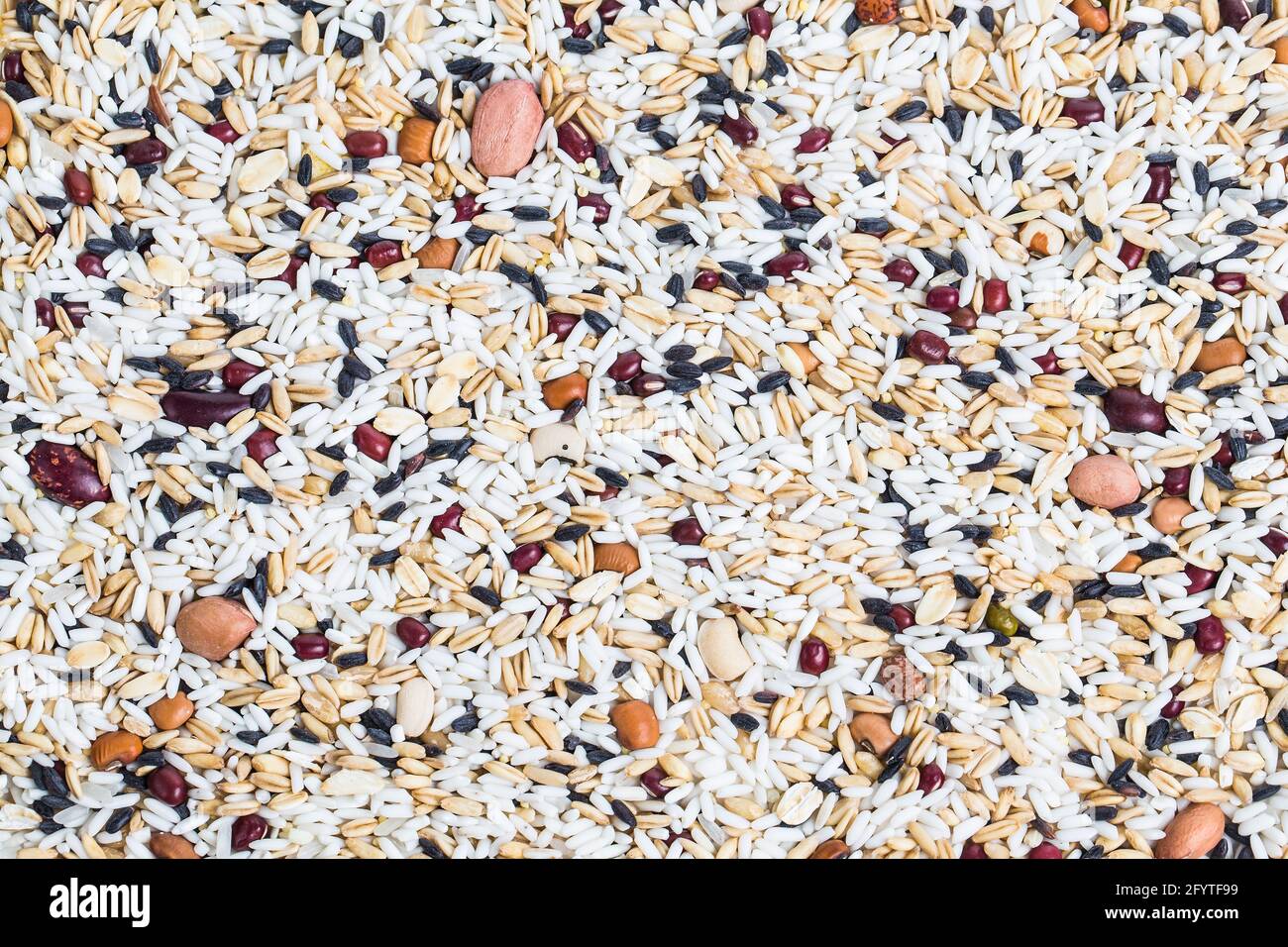 Border frame of Corn kernel seed meal and grains in bags isolated on a