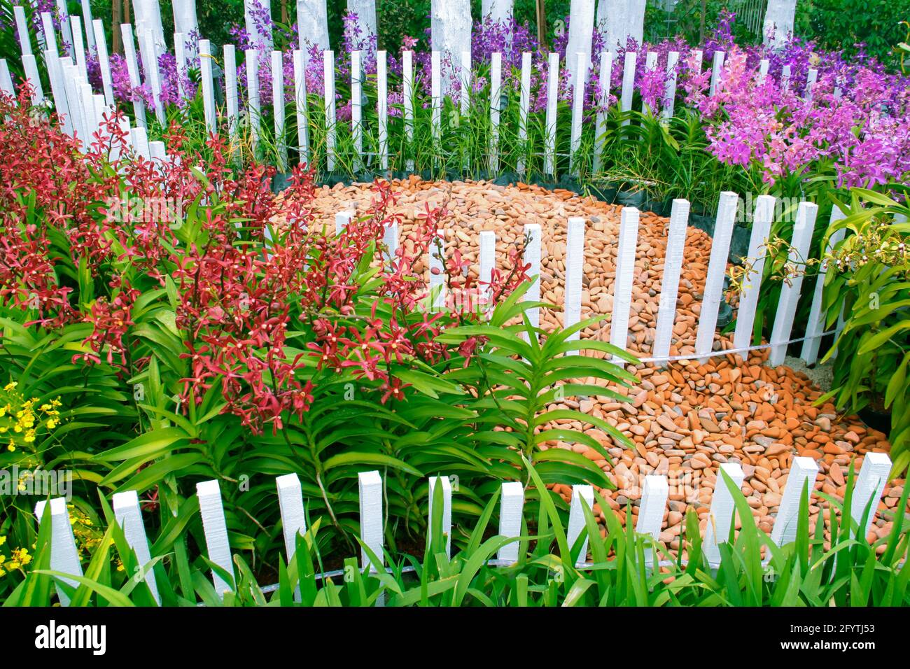 Garden arrangement with natural flowers and plants at the FLORIA 2013