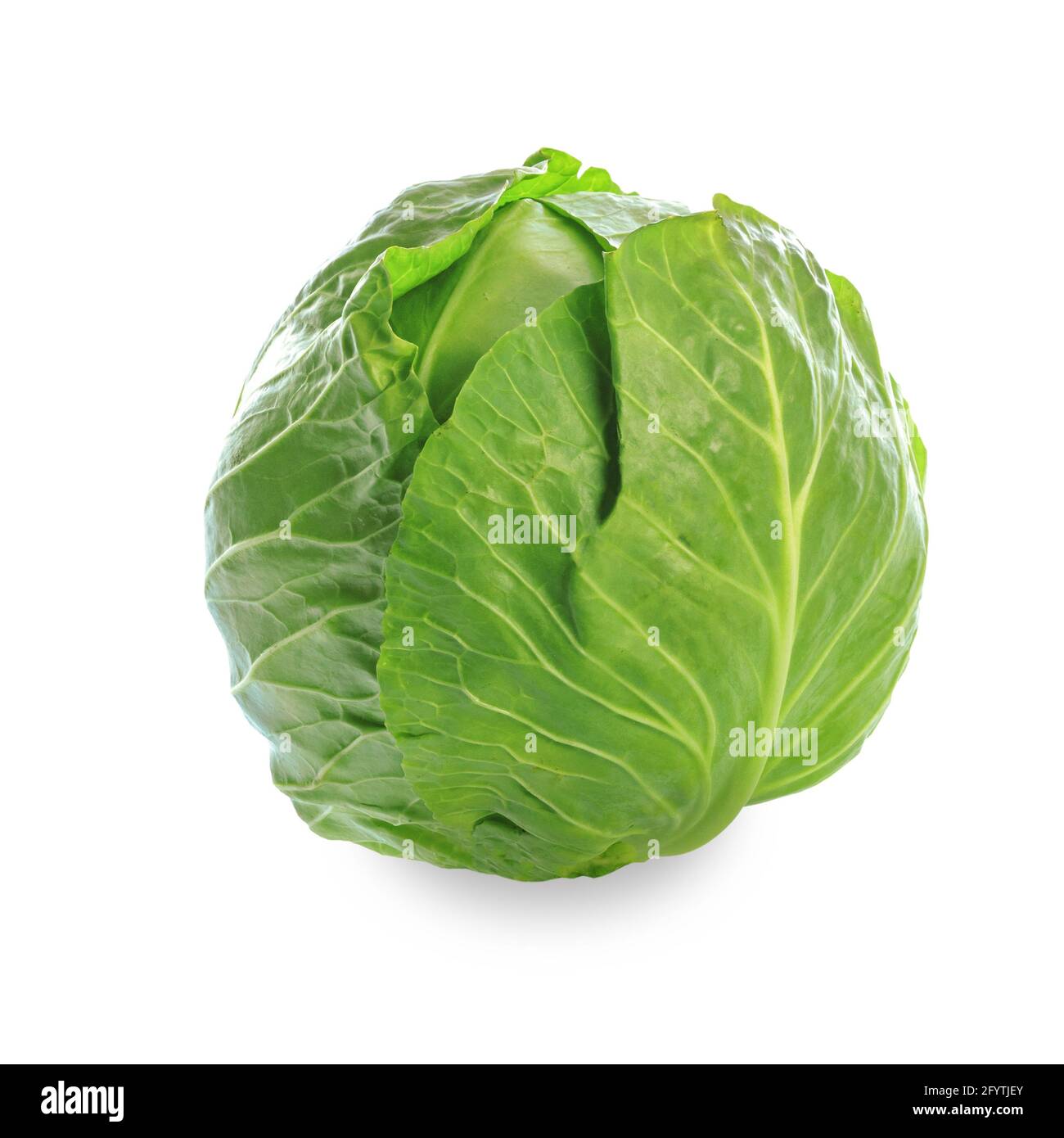 Fresh head of green organic cabbage isolated on a white background in close-up. PNG file with transparent background Stock Photo
